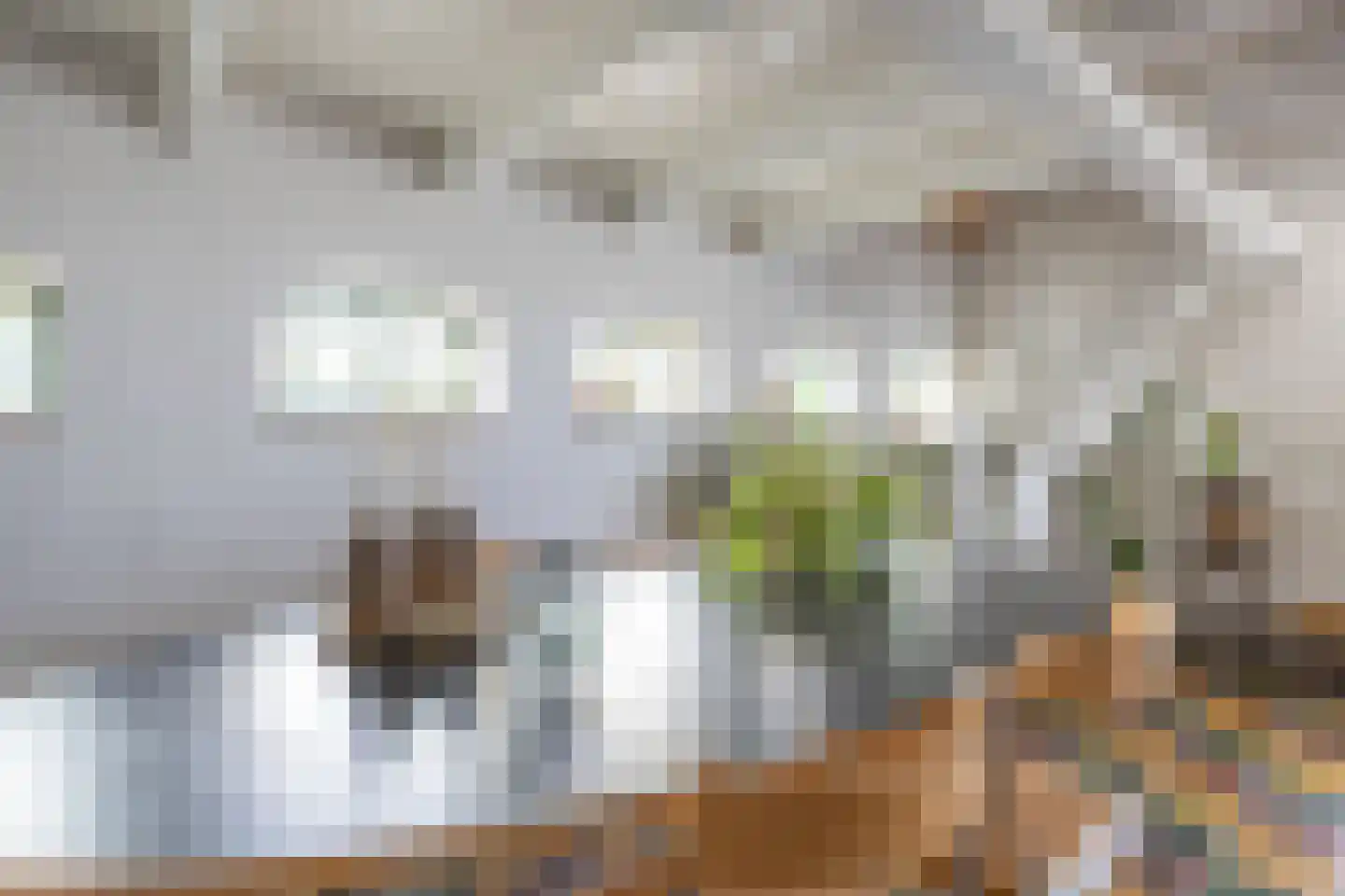 Grutte Buorren 8 Moarre thumbnail 12