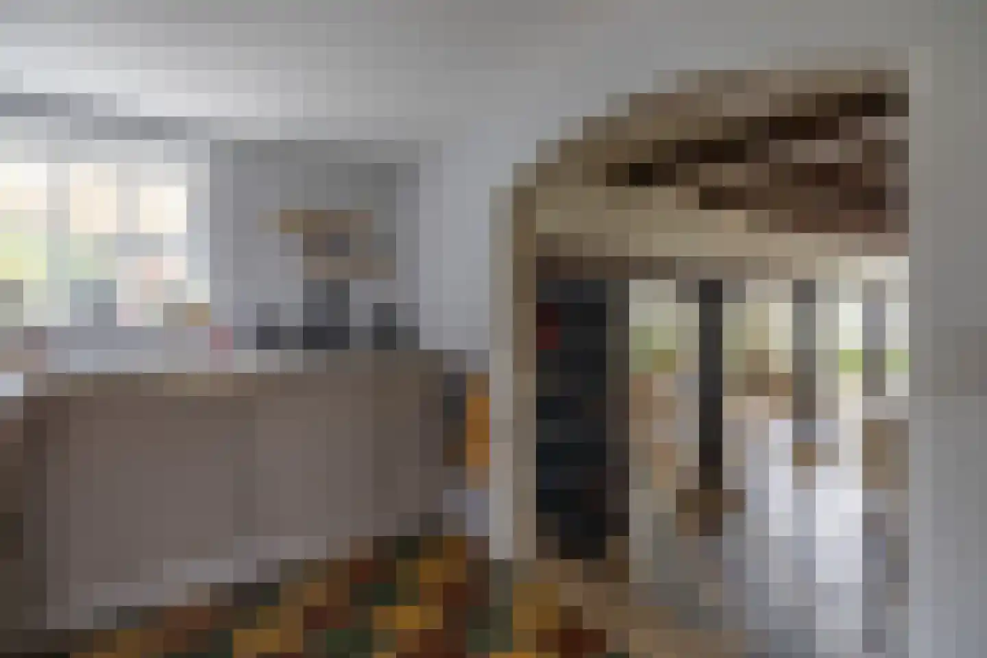 Grutte Buorren 8 Moarre thumbnail 20