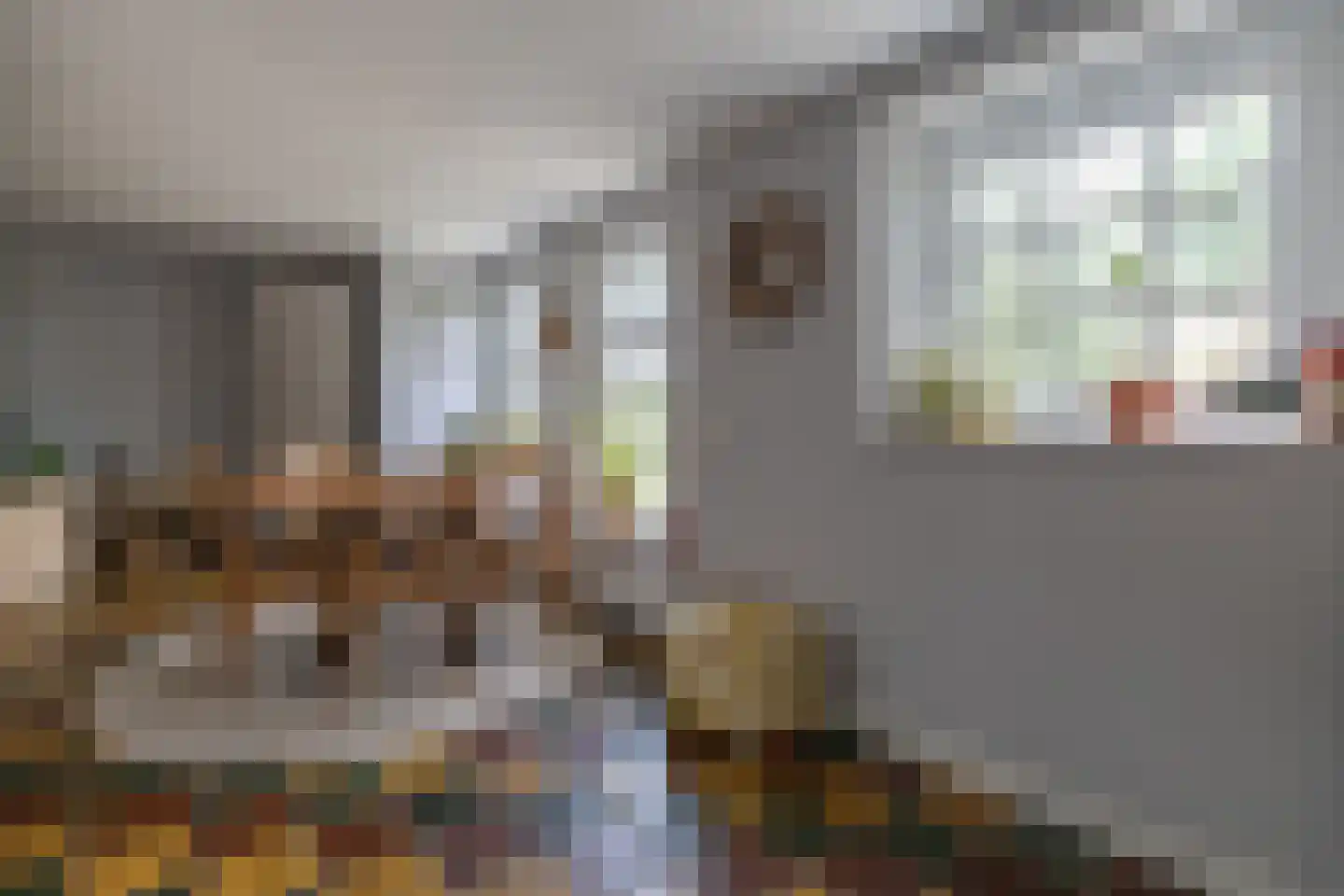 Grutte Buorren 8 Moarre thumbnail 23