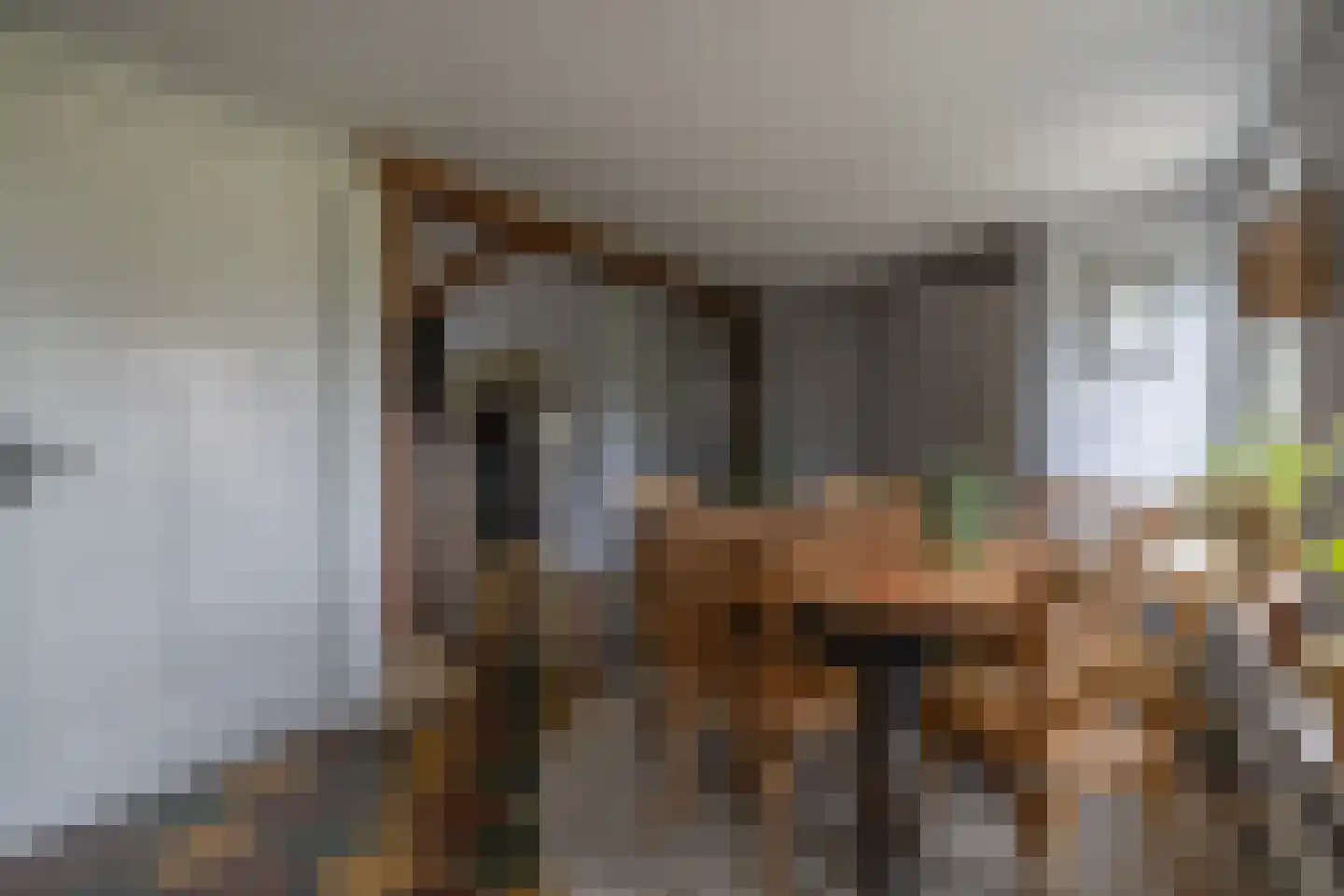 Grutte Buorren 8 Moarre thumbnail 24