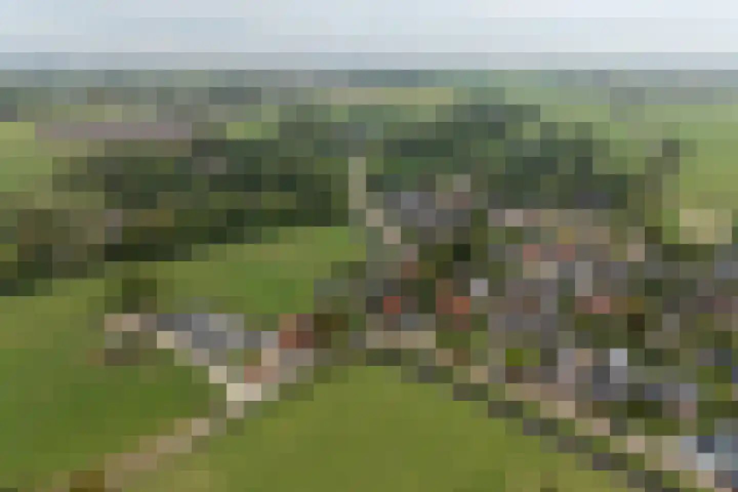Grutte Buorren 8 Moarre thumbnail 4