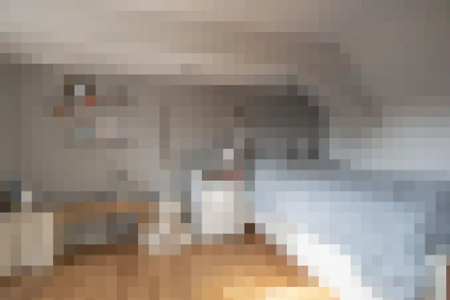 Grutte Buorren 8 Moarre thumbnail 43
