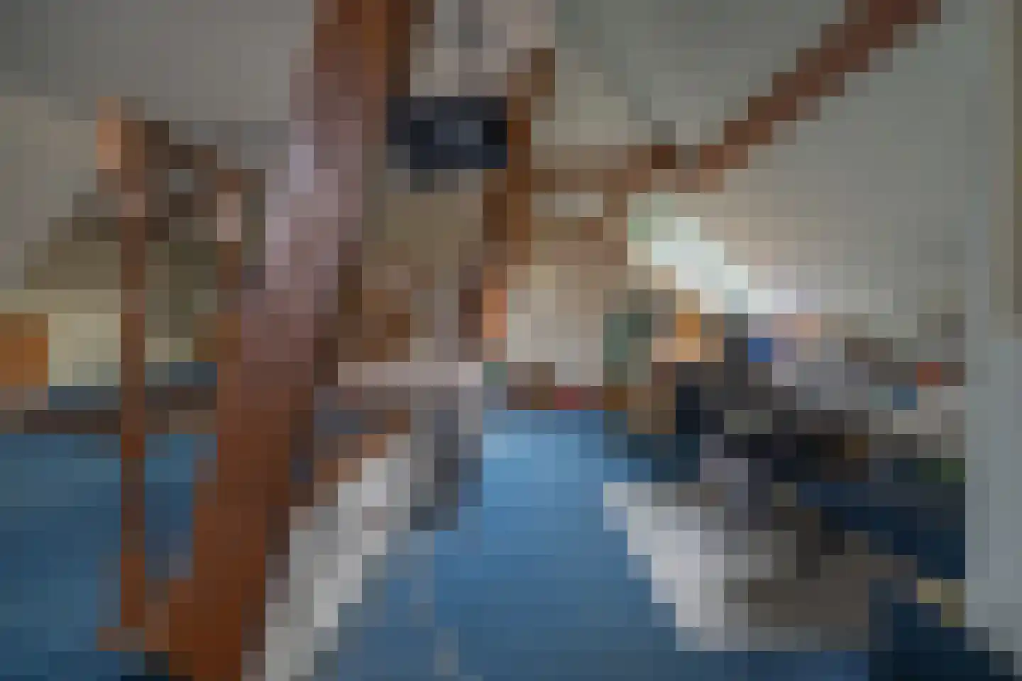 Grutte Buorren 8 Moarre thumbnail 46
