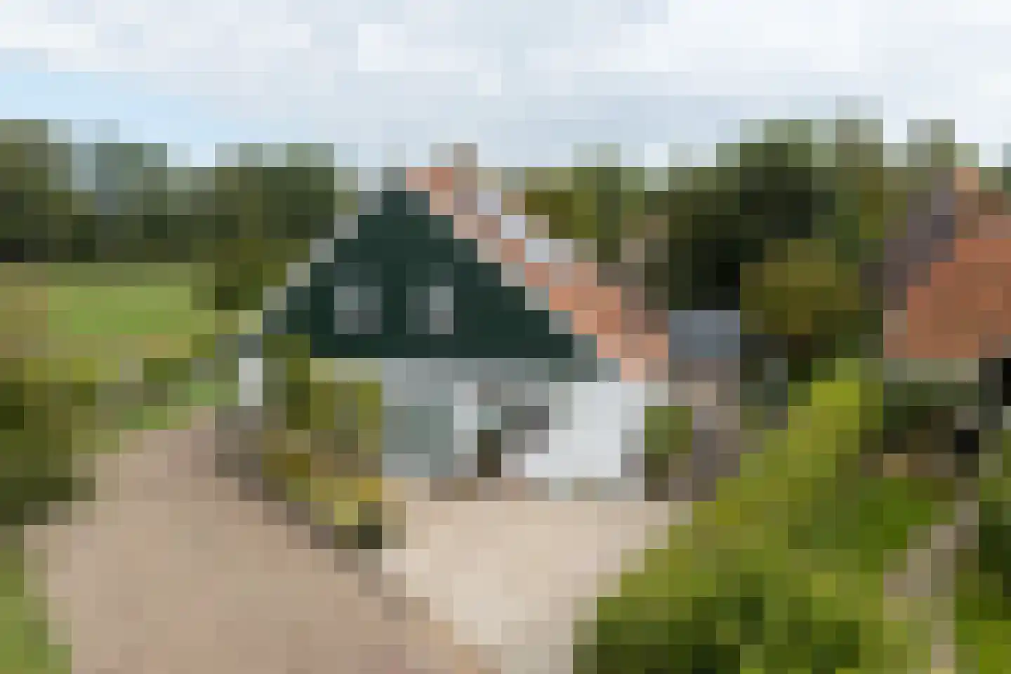 Grutte Buorren 8 Moarre thumbnail 51