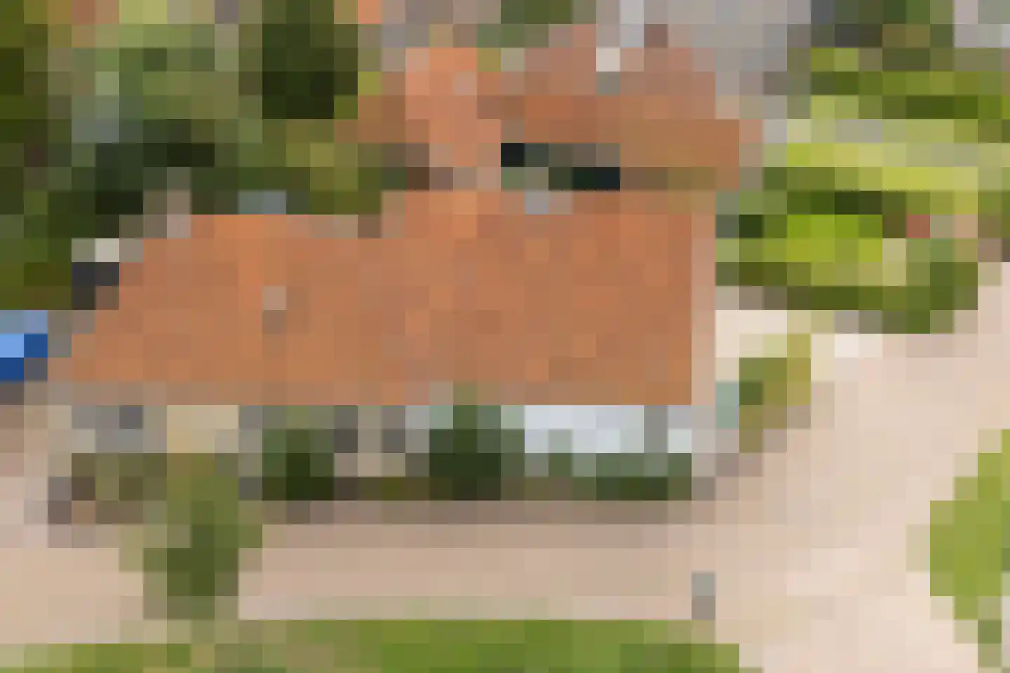 Grutte Buorren 8 Moarre thumbnail 52
