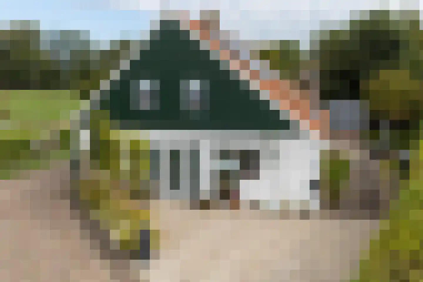 Grutte Buorren 8 Moarre thumbnail 53
