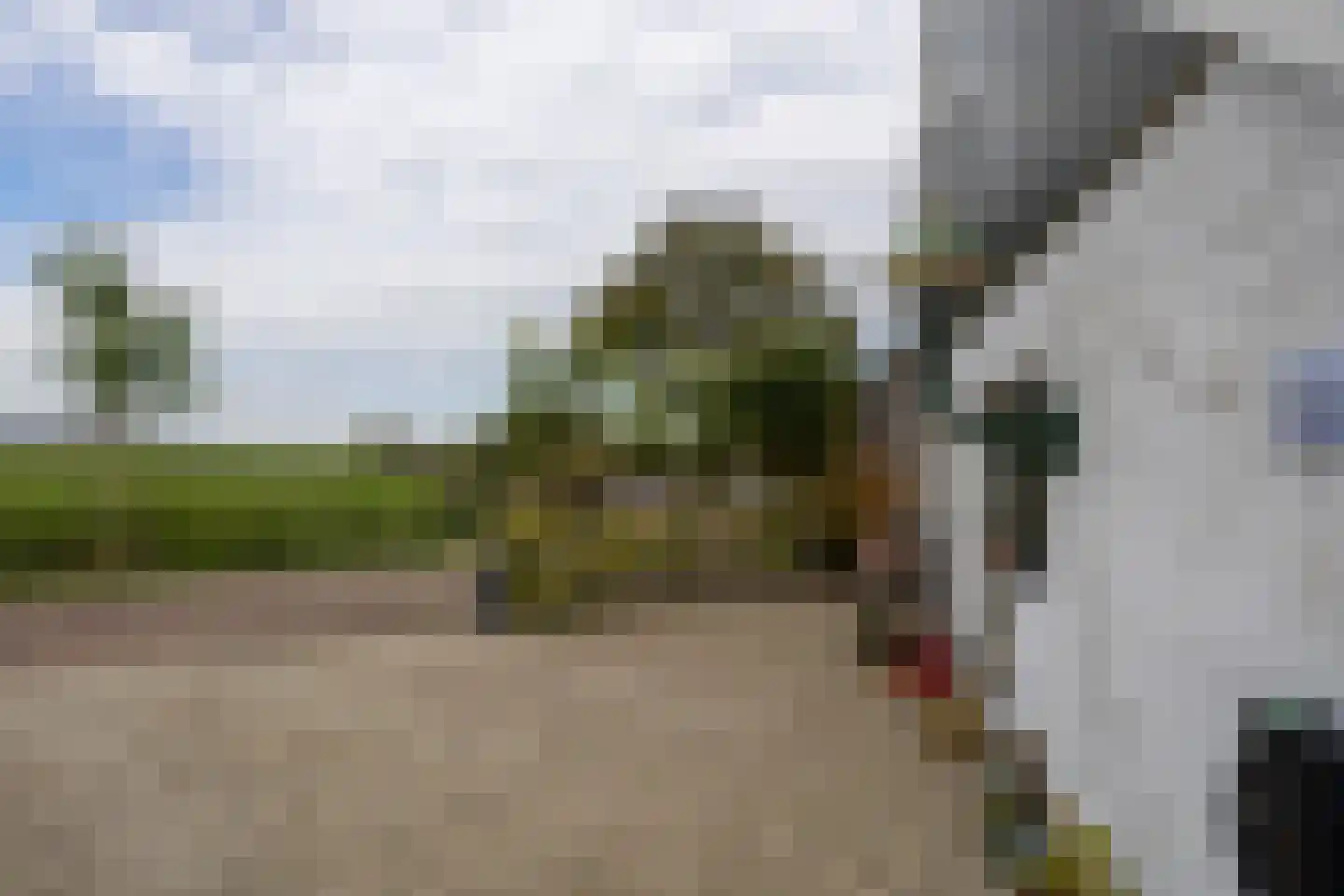 Grutte Buorren 8 Moarre thumbnail 55