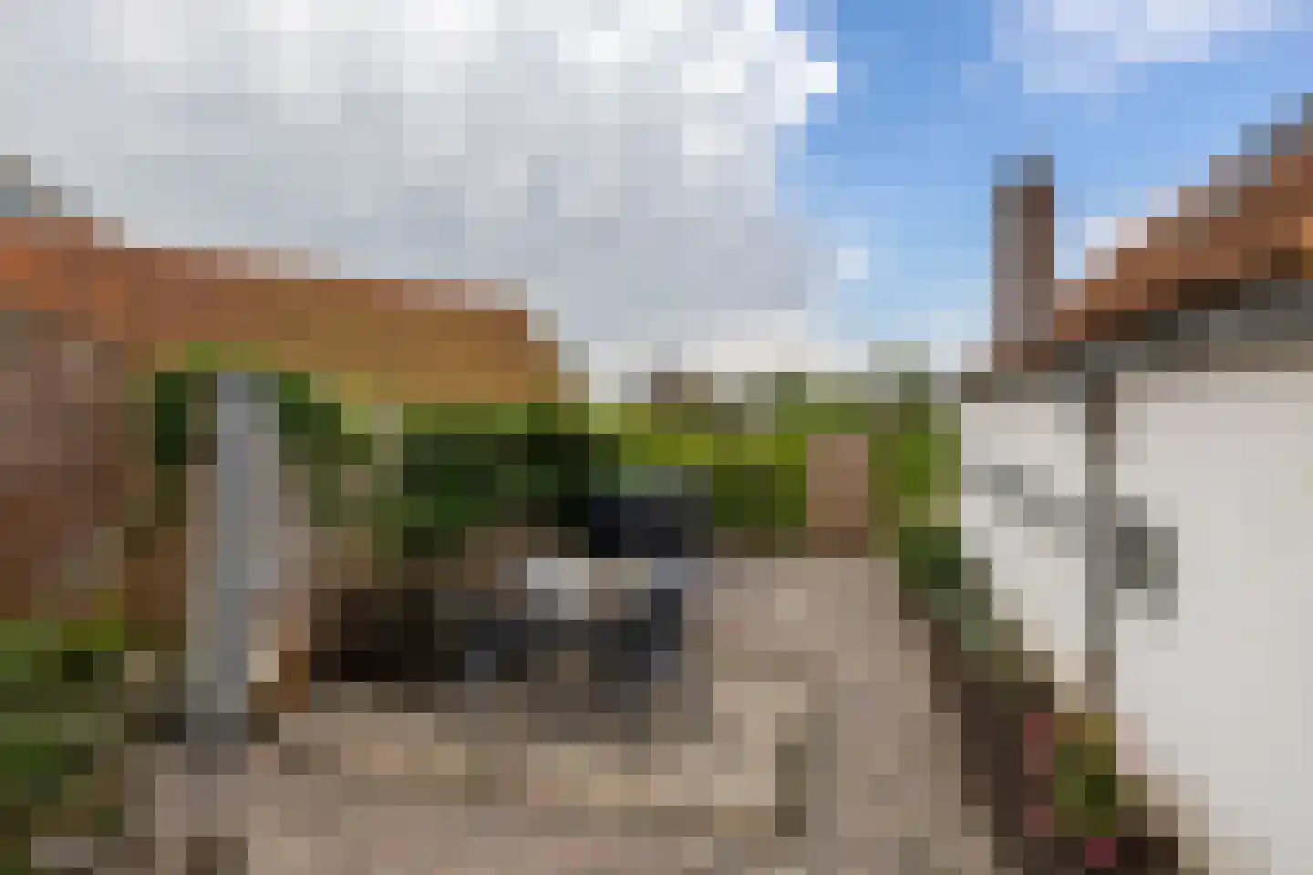 Grutte Buorren 8 Moarre thumbnail 58
