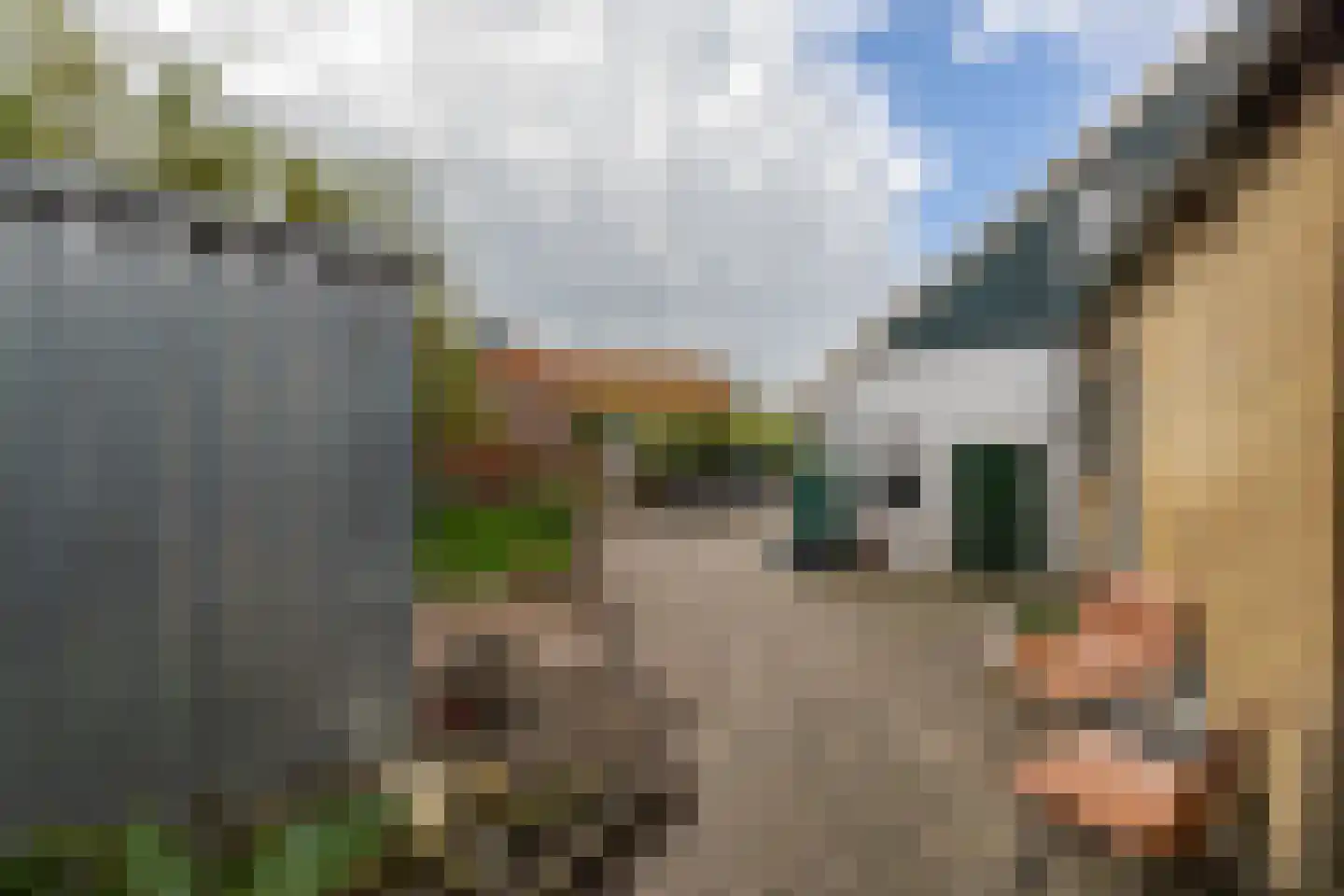 Grutte Buorren 8 Moarre thumbnail 61