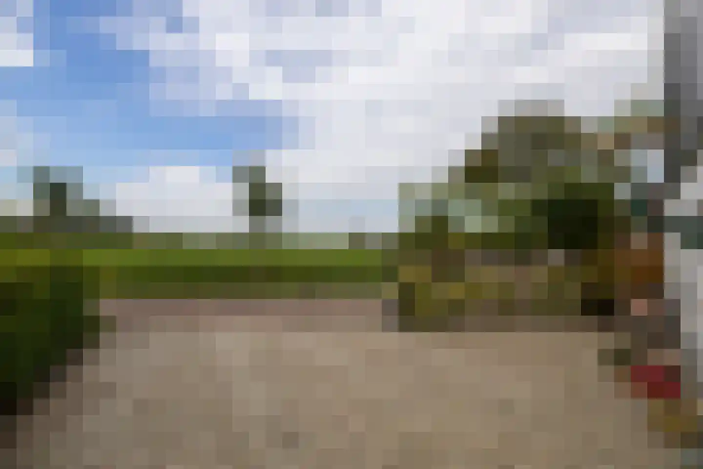 Grutte Buorren 8 Moarre thumbnail 62