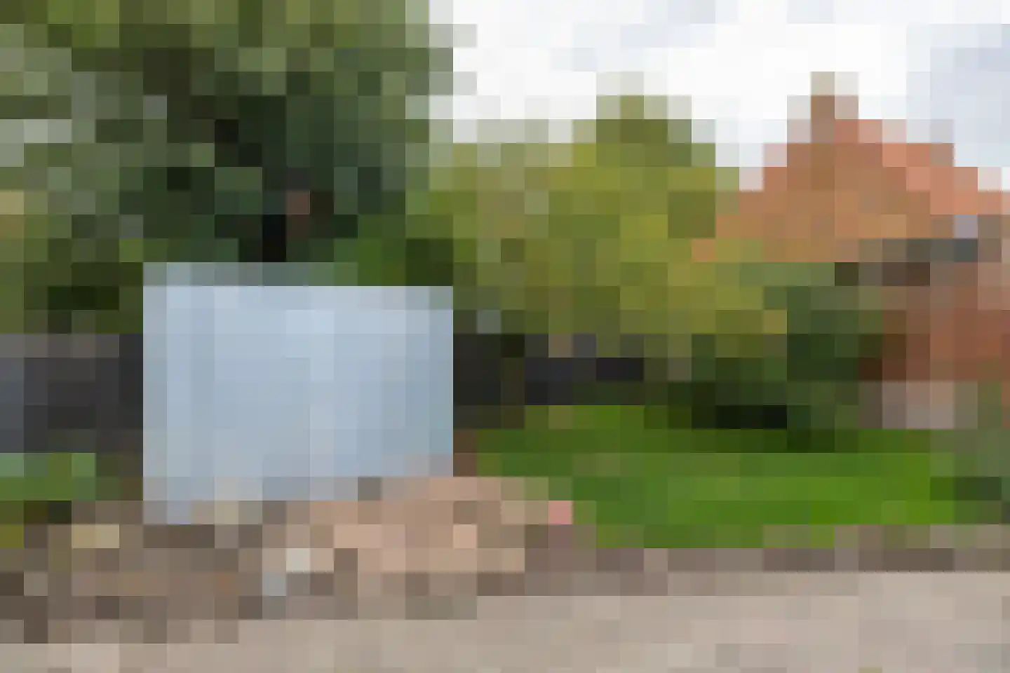 Grutte Buorren 8 Moarre thumbnail 63