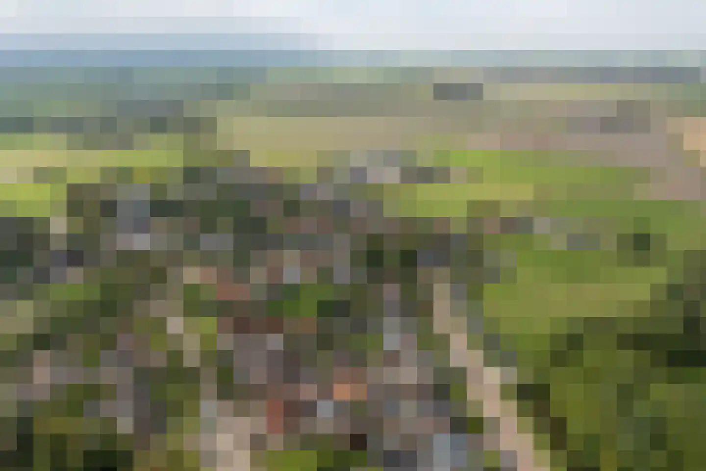 Grutte Buorren 8 Moarre thumbnail 65