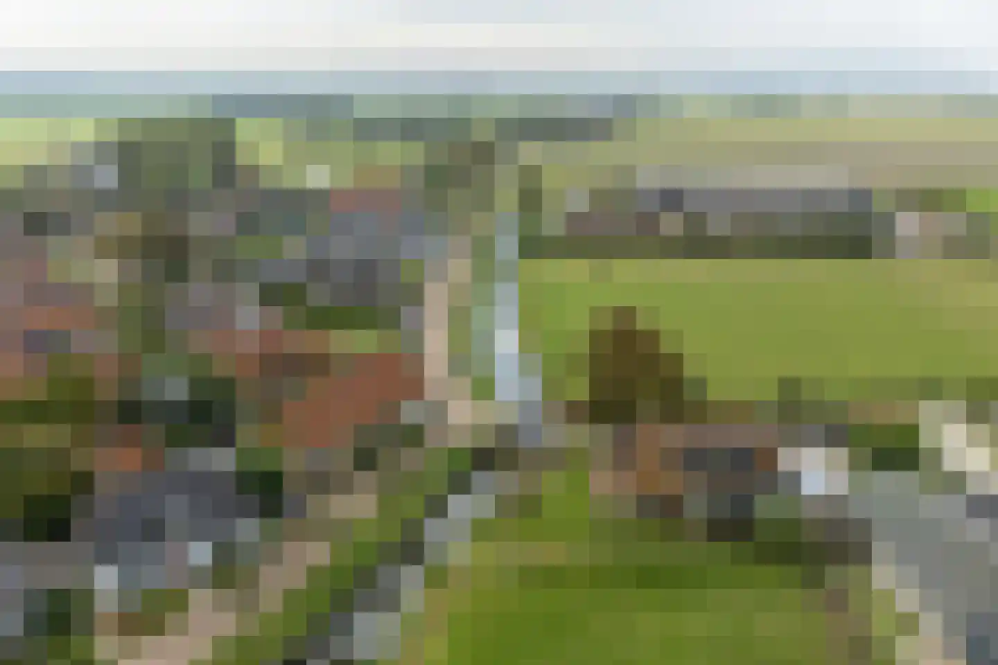 Grutte Buorren 8 Moarre thumbnail 66