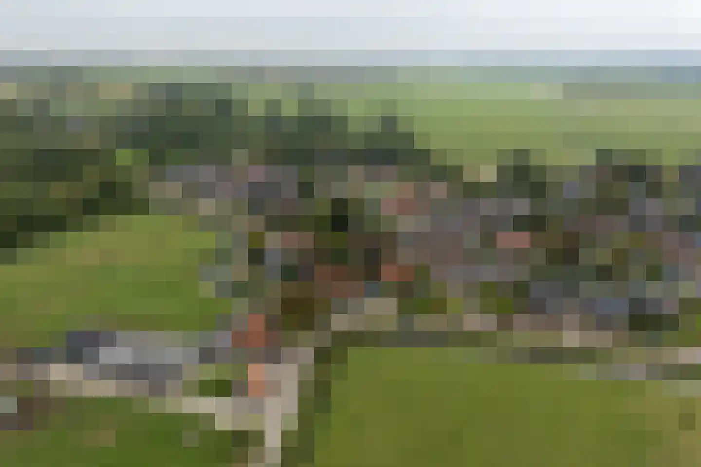 Grutte Buorren 8 Moarre thumbnail 67