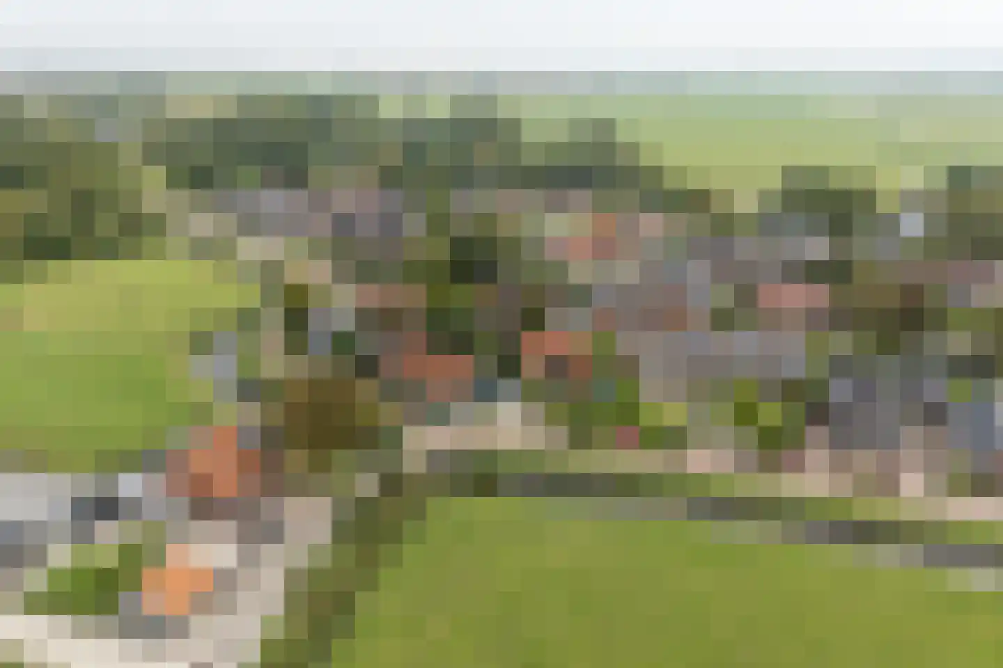 Grutte Buorren 8 Moarre thumbnail 68