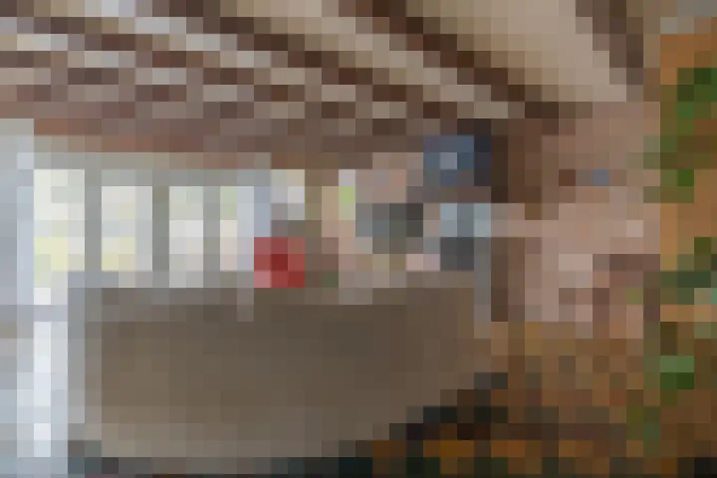Grutte Buorren 8 Moarre thumbnail 7