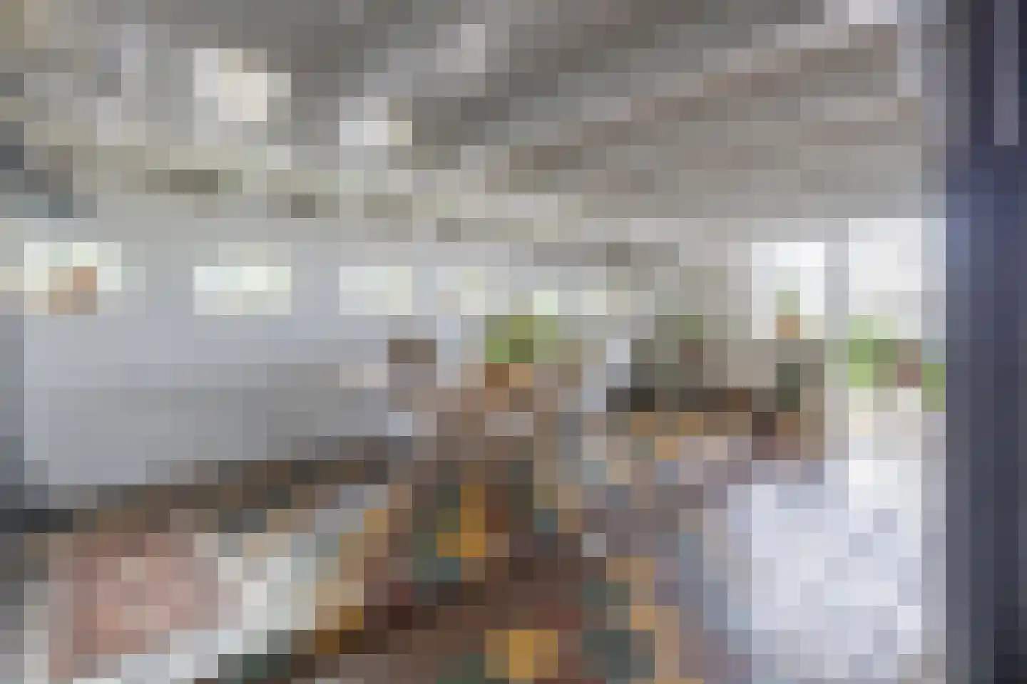 Grutte Buorren 8 Moarre thumbnail 8