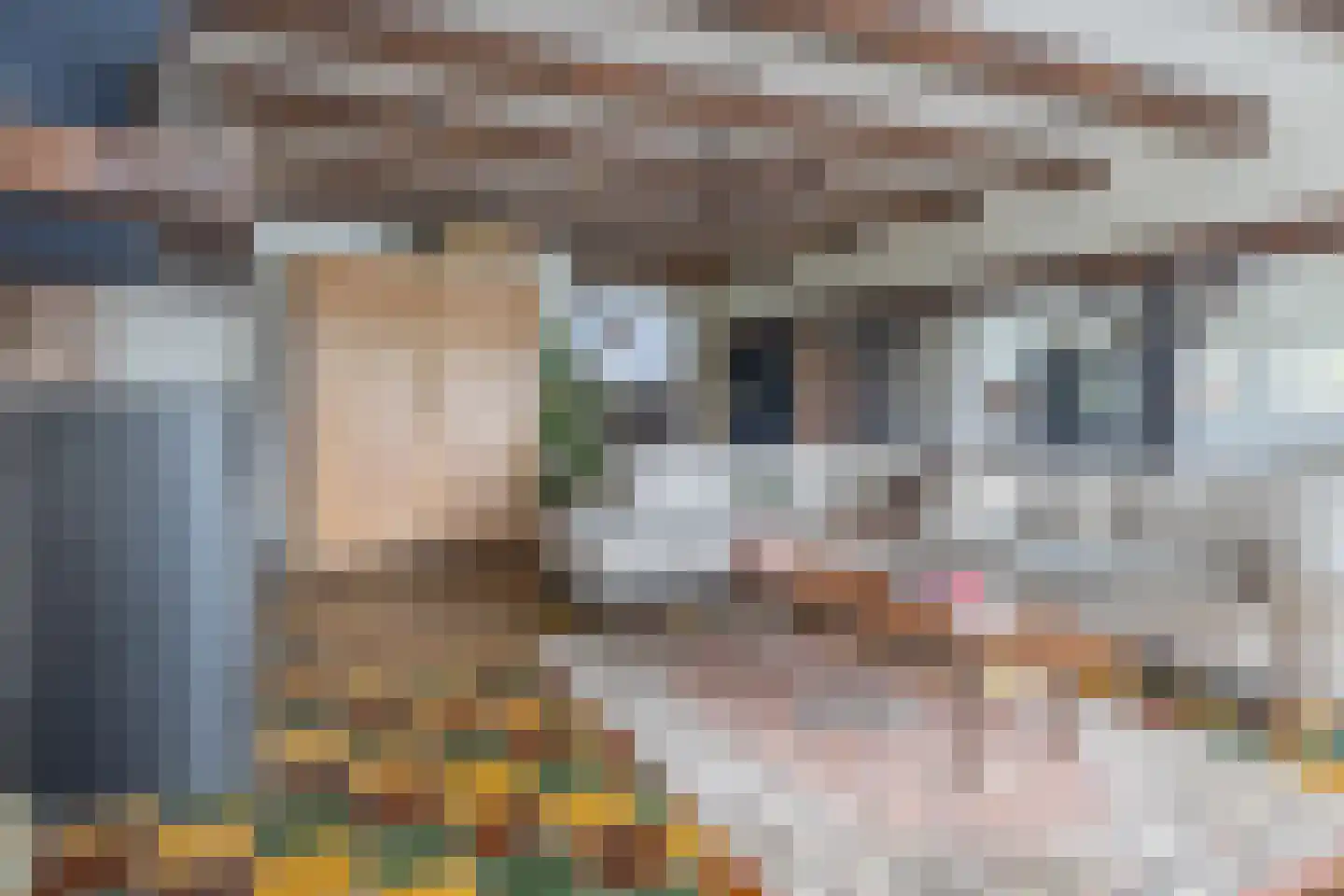 Grutte Buorren 8 Moarre thumbnail 9