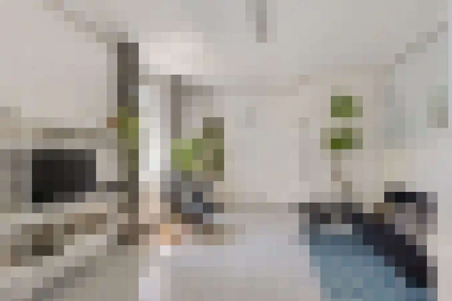 Grutte Loane 4 Ie thumbnail 10