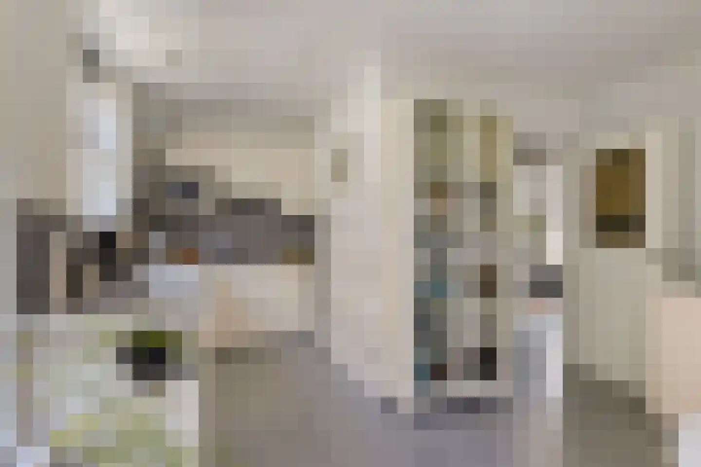 Grutte Loane 4 Ie thumbnail 16