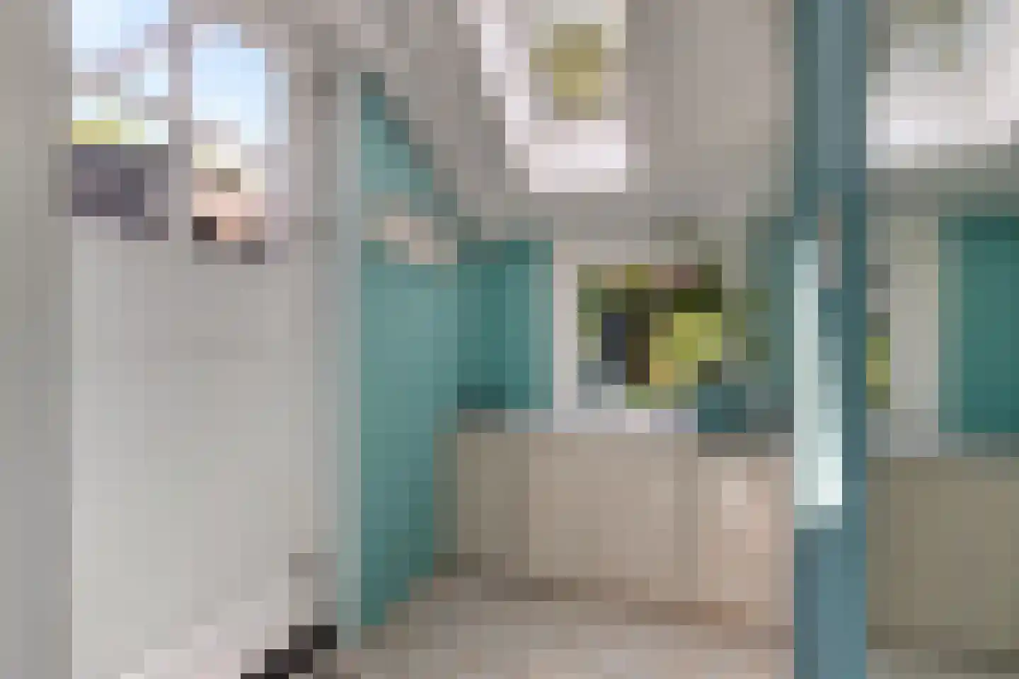 Grutte Loane 4 Ie thumbnail 21