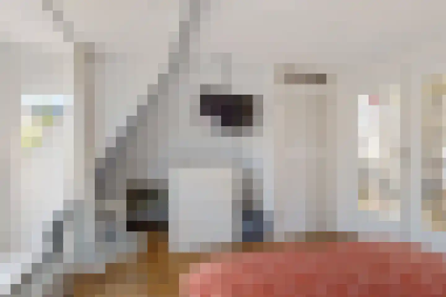 Grutte Loane 4 Ie thumbnail 30