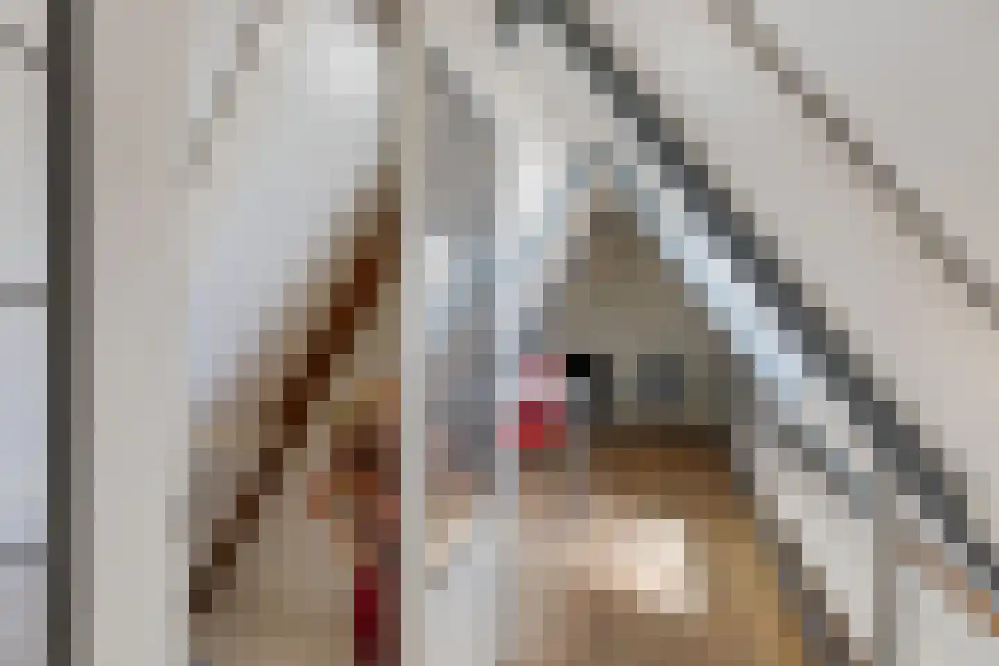 Grutte Loane 4 Ie thumbnail 36