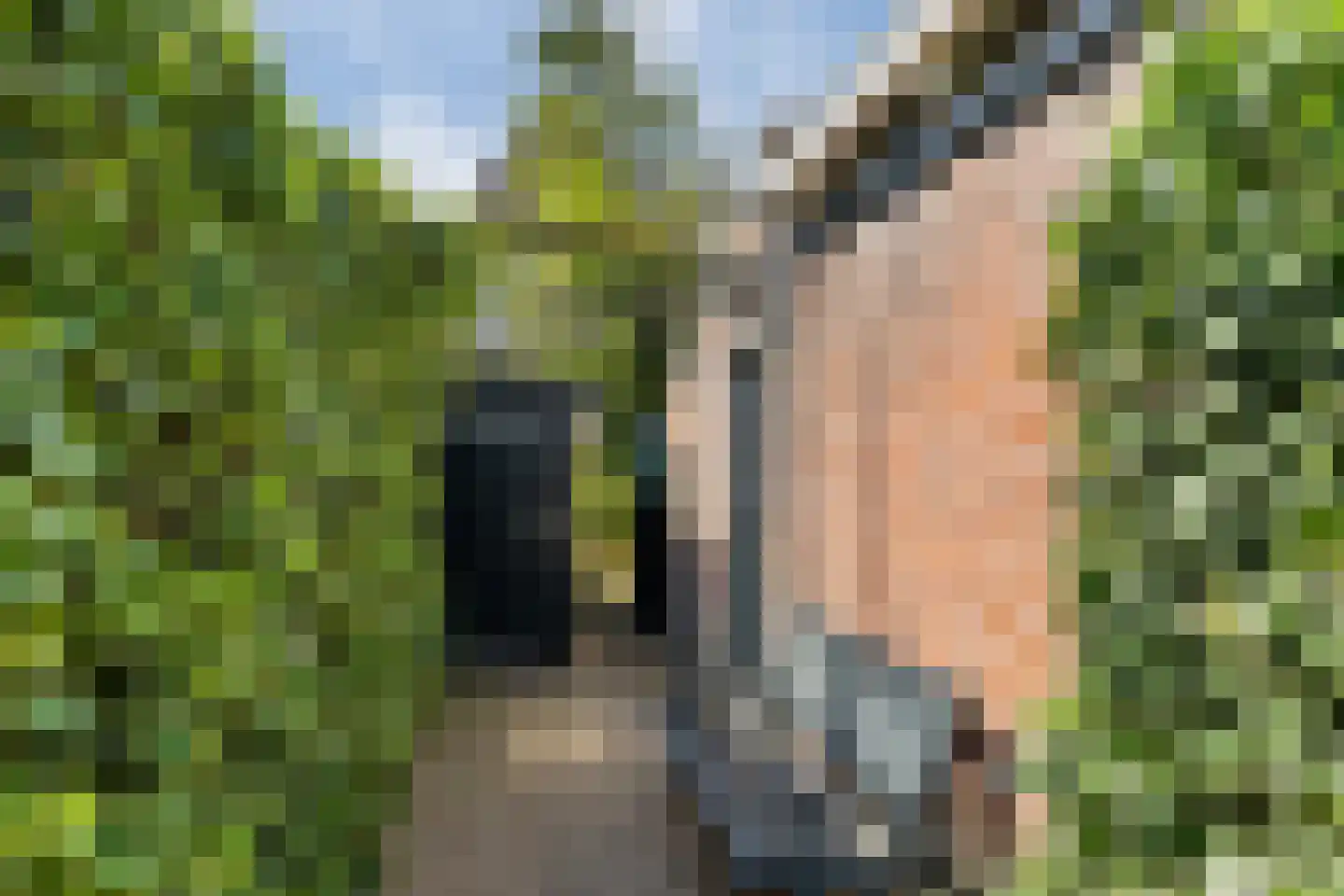 Grutte Loane 4 Ie thumbnail 37
