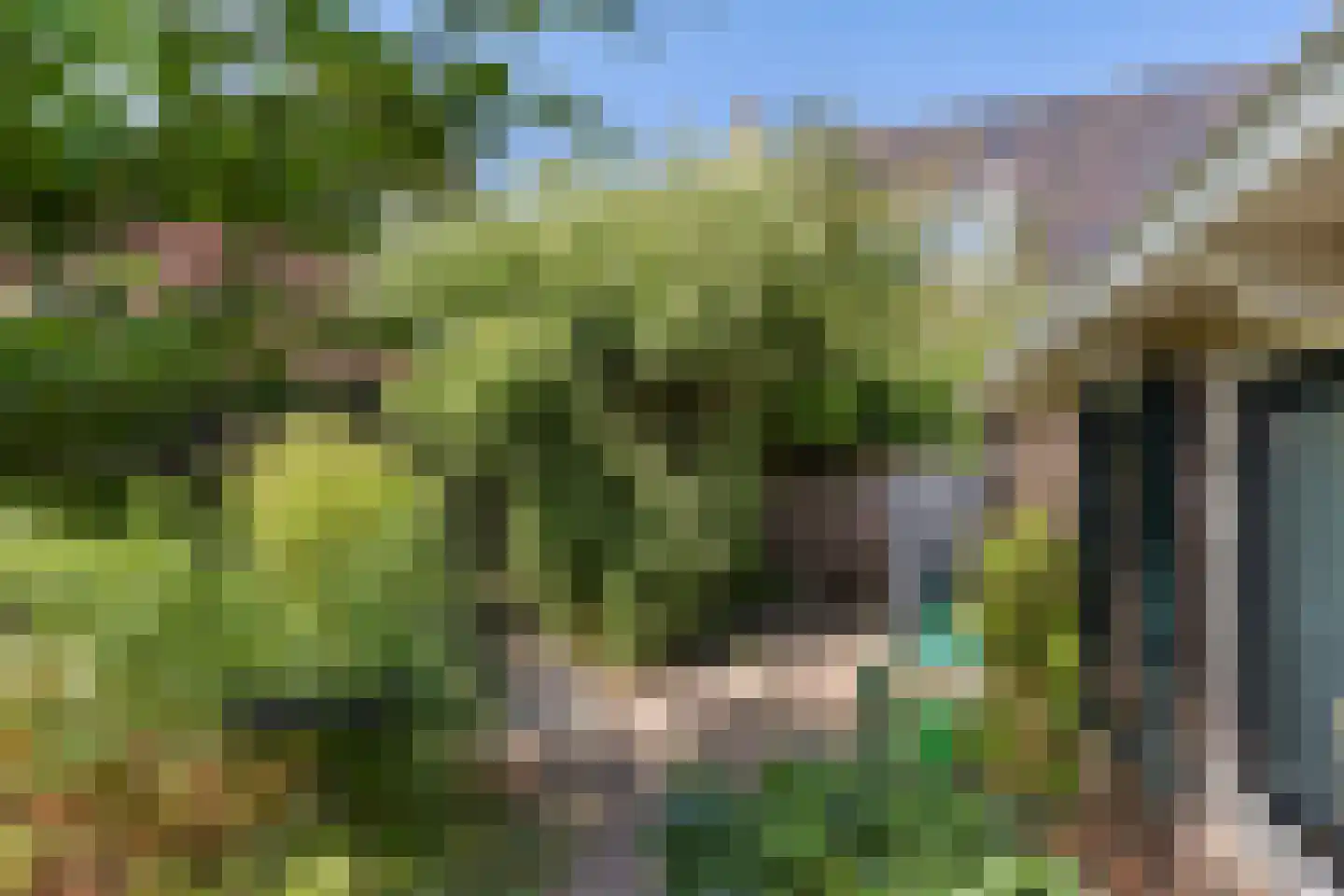Grutte Loane 4 Ie thumbnail 39