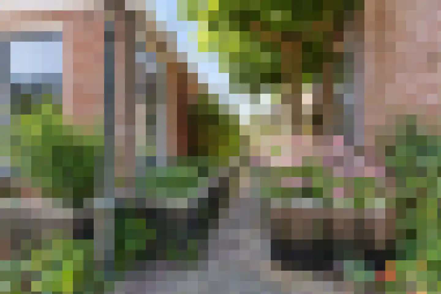 Grutte Loane 4 Ie thumbnail 42