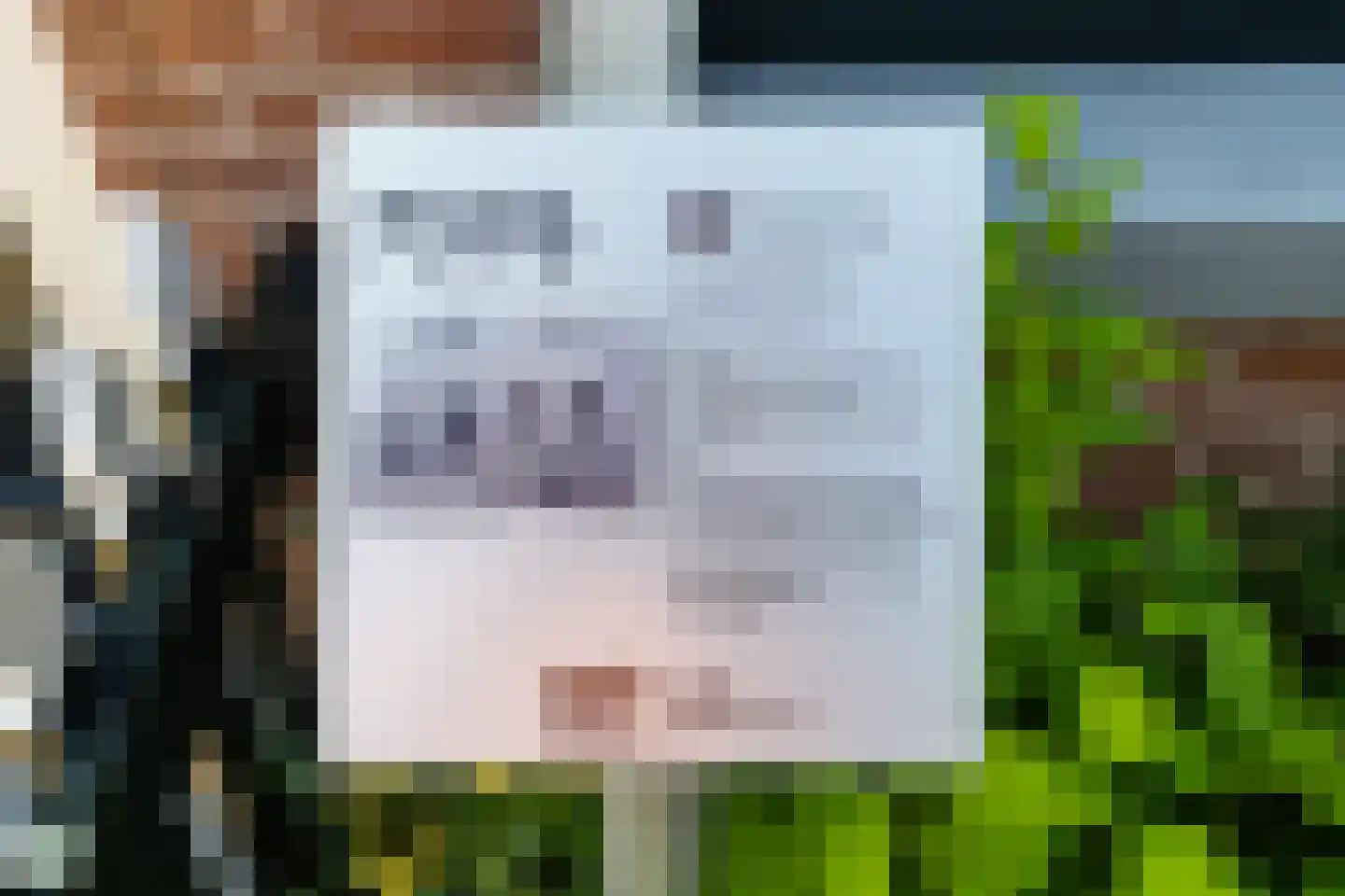 Grutte Loane 4 Ie thumbnail 7