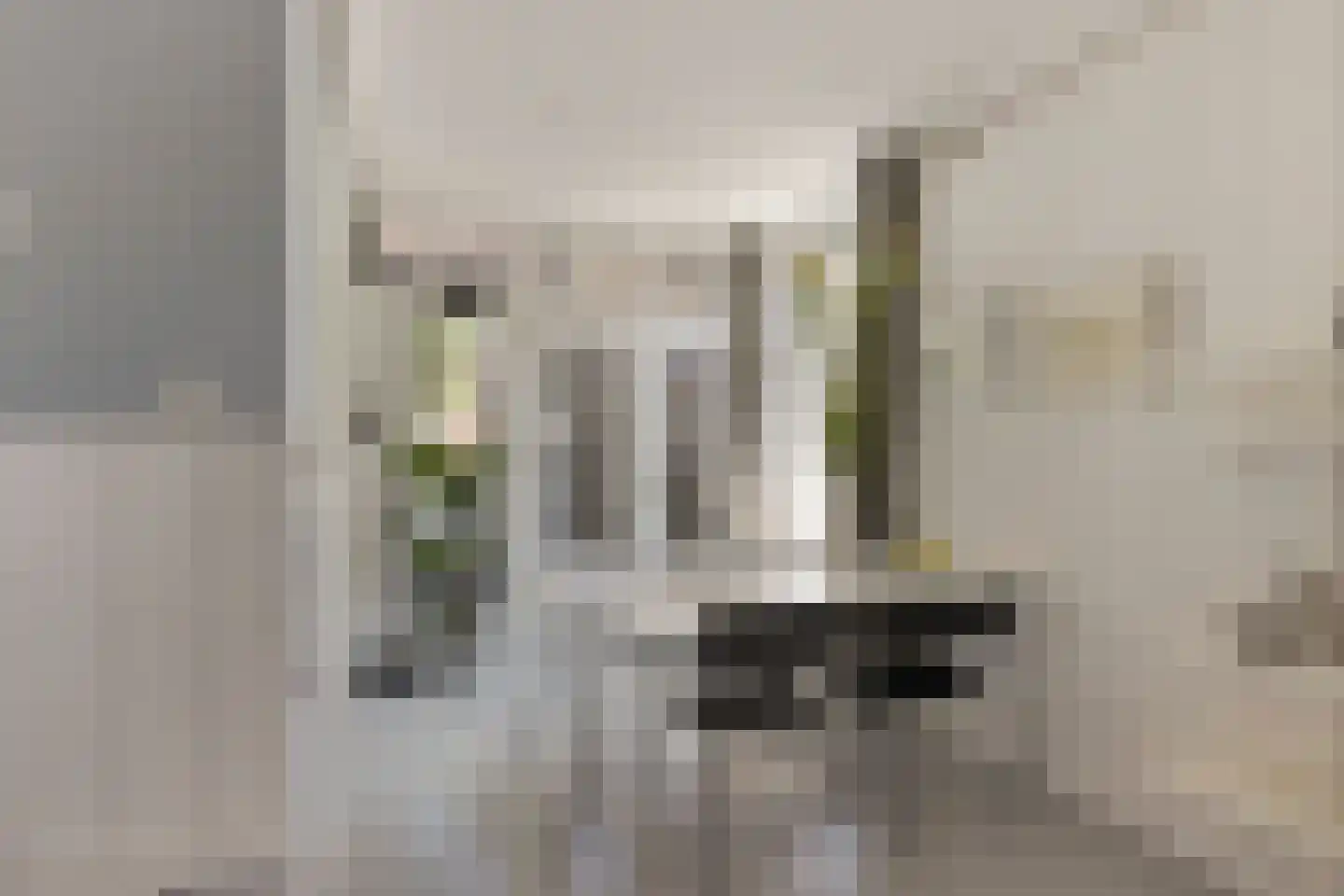 Grutte Loane 4 Ie thumbnail 9