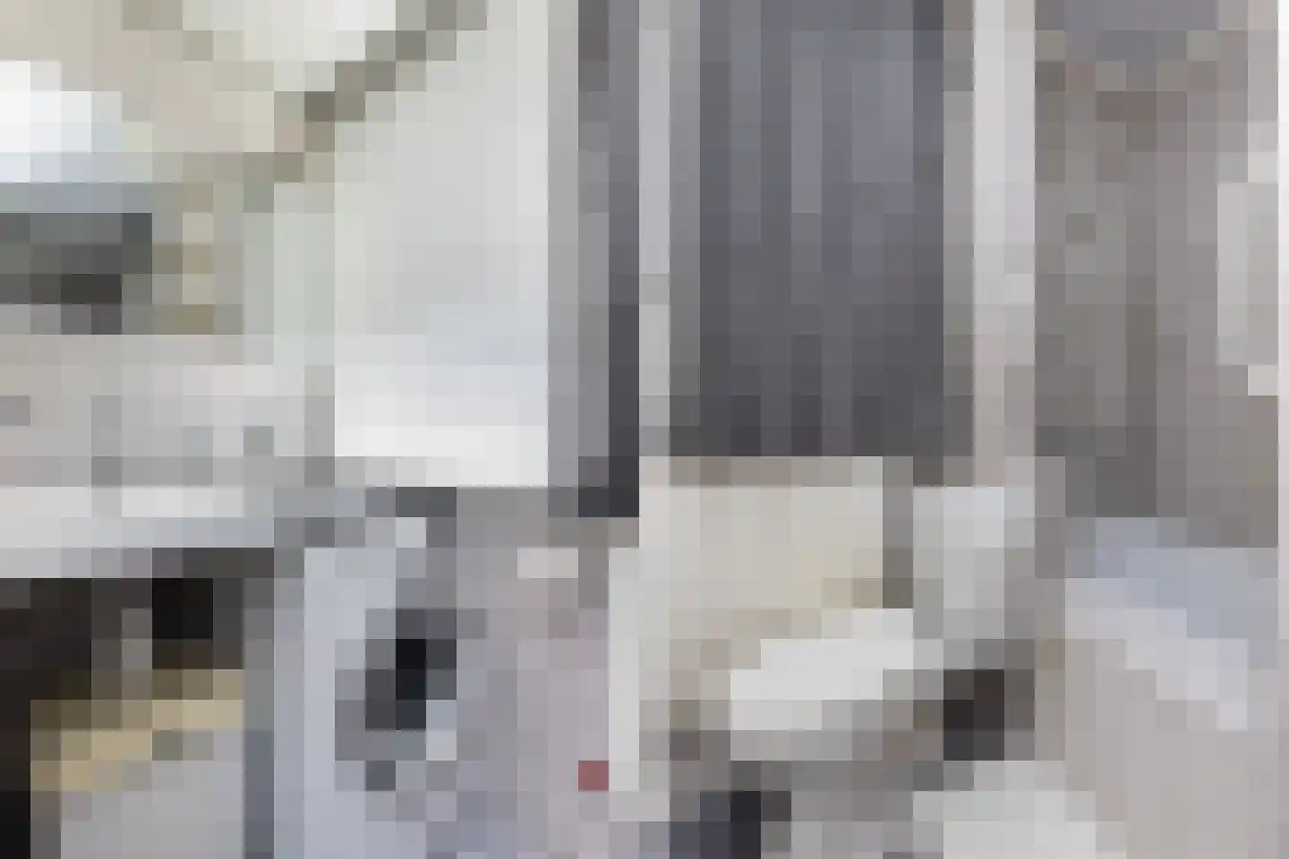 Grutter 2 Zwijndrecht thumbnail 20