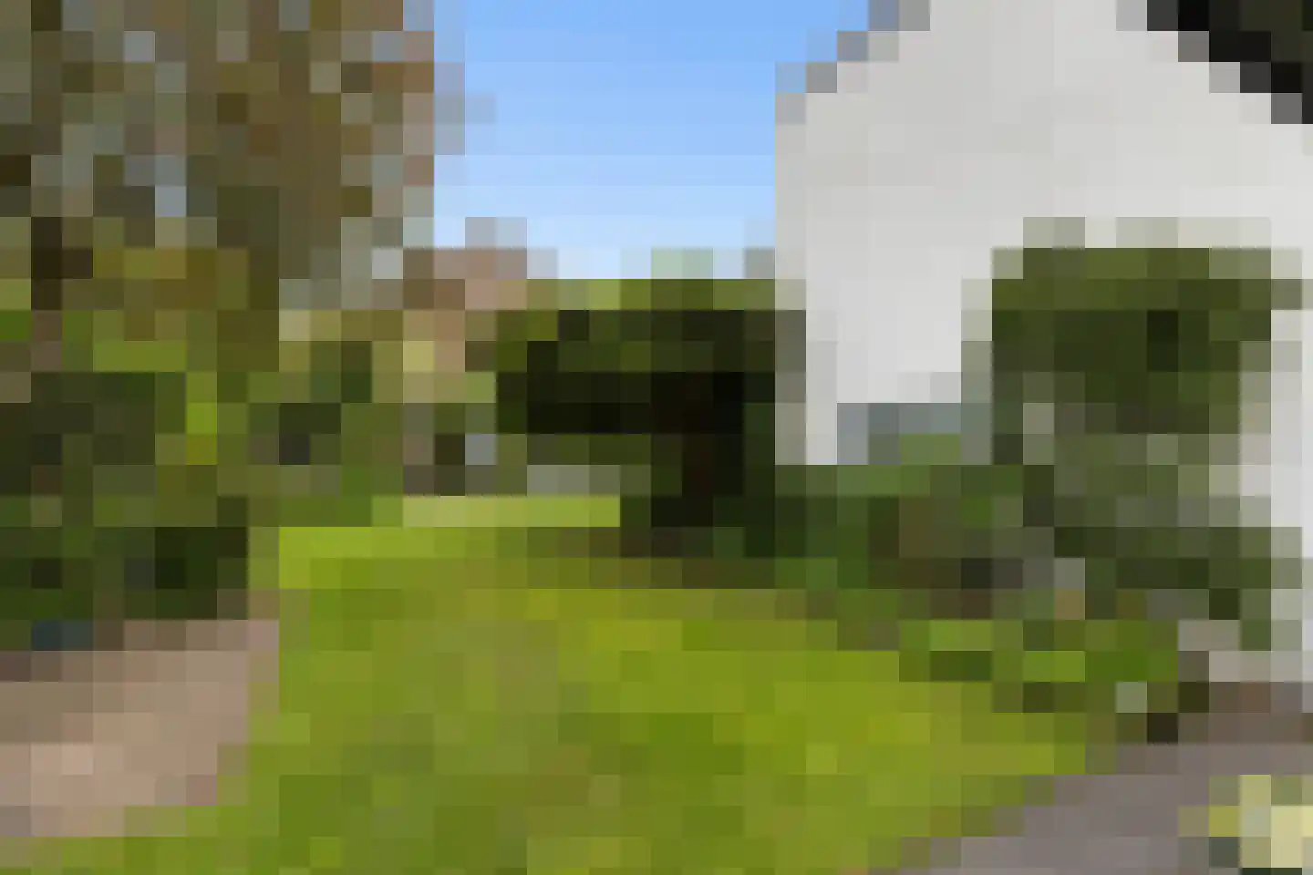 Grutter 2 Zwijndrecht thumbnail 21
