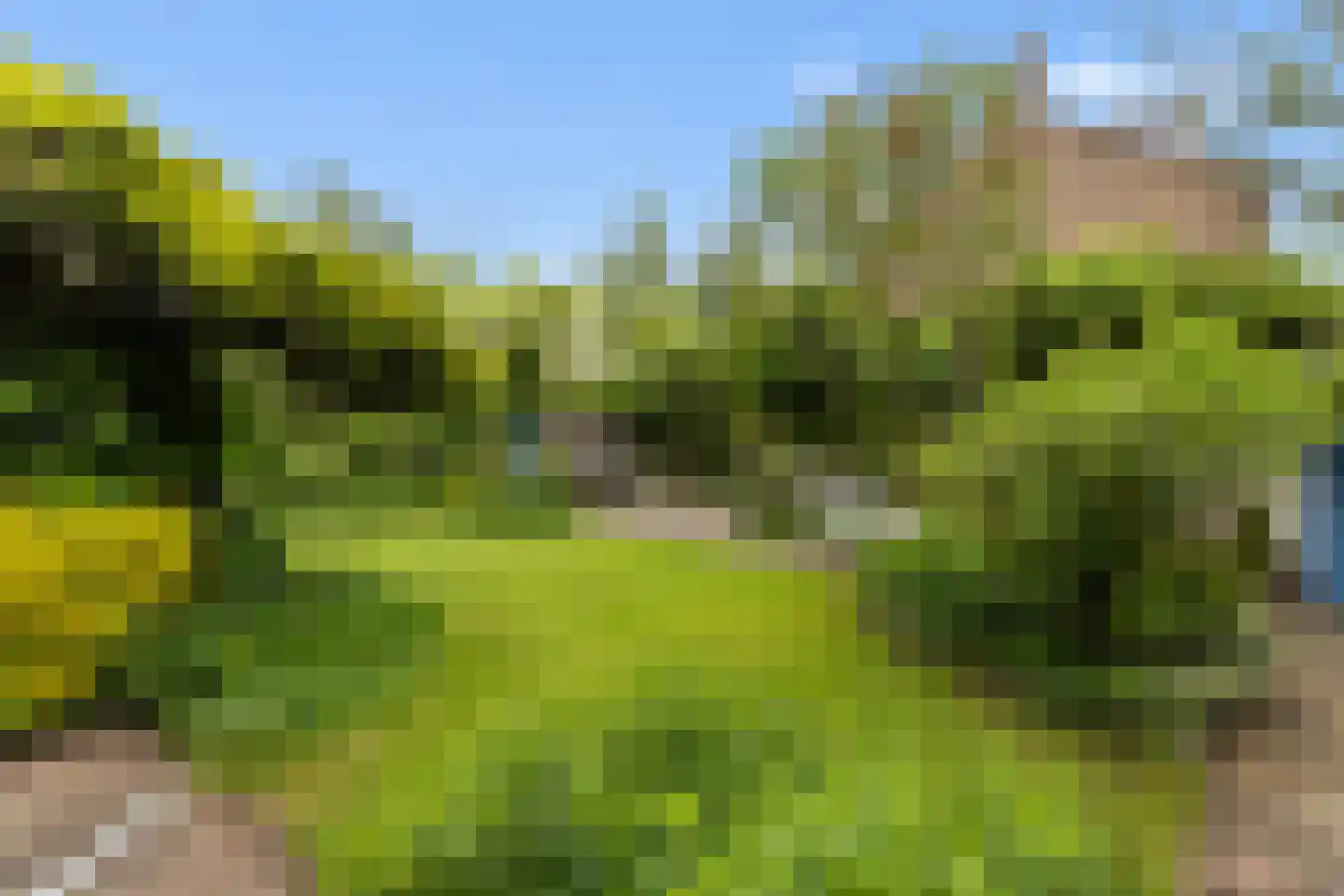Grutter 2 Zwijndrecht thumbnail 23