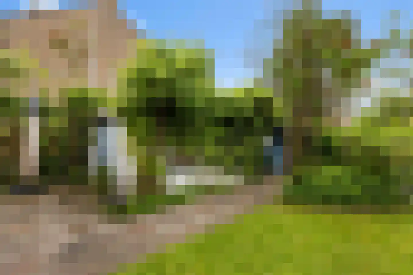 Grutter 2 Zwijndrecht thumbnail 24