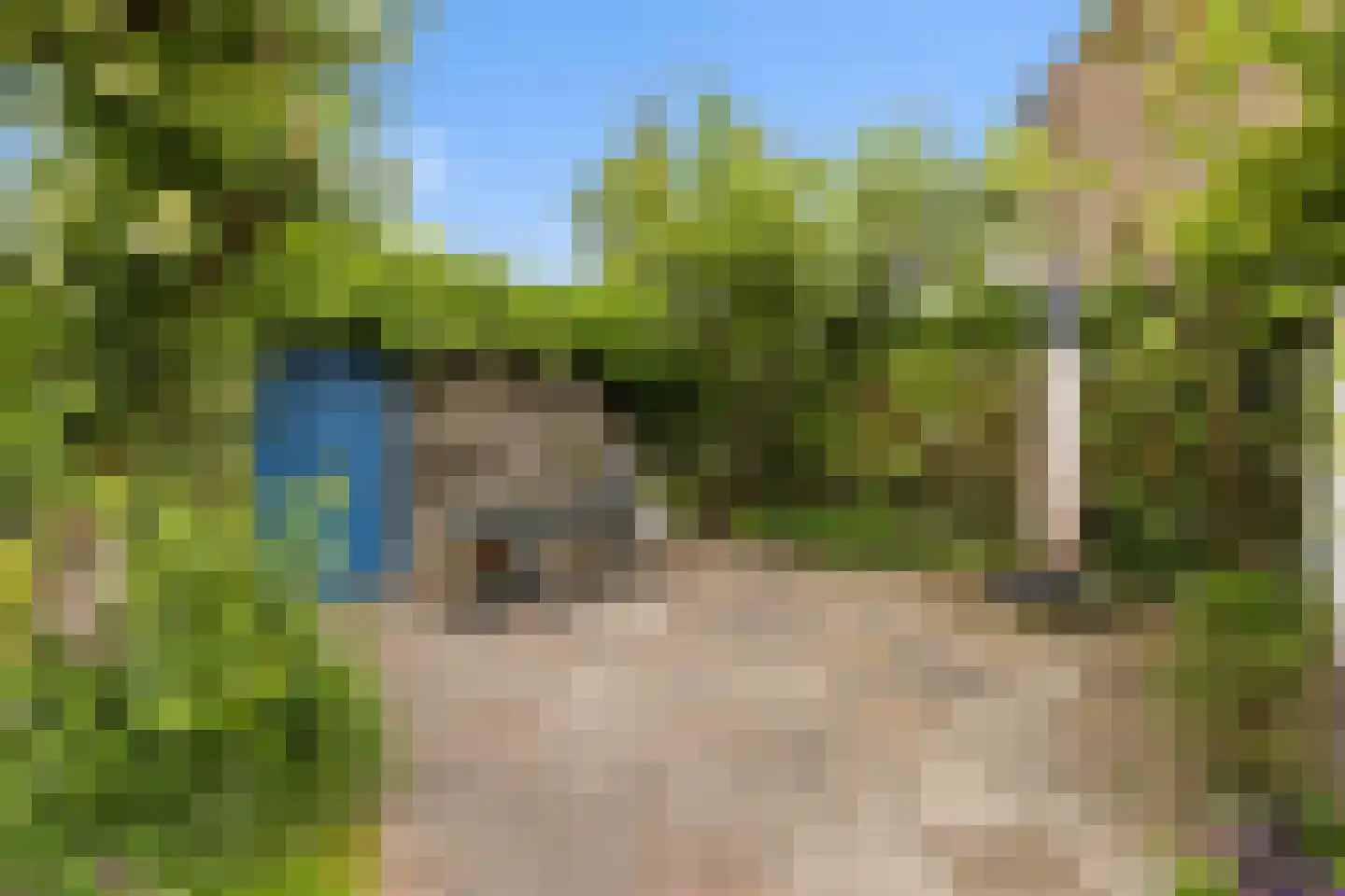 Grutter 2 Zwijndrecht thumbnail 27