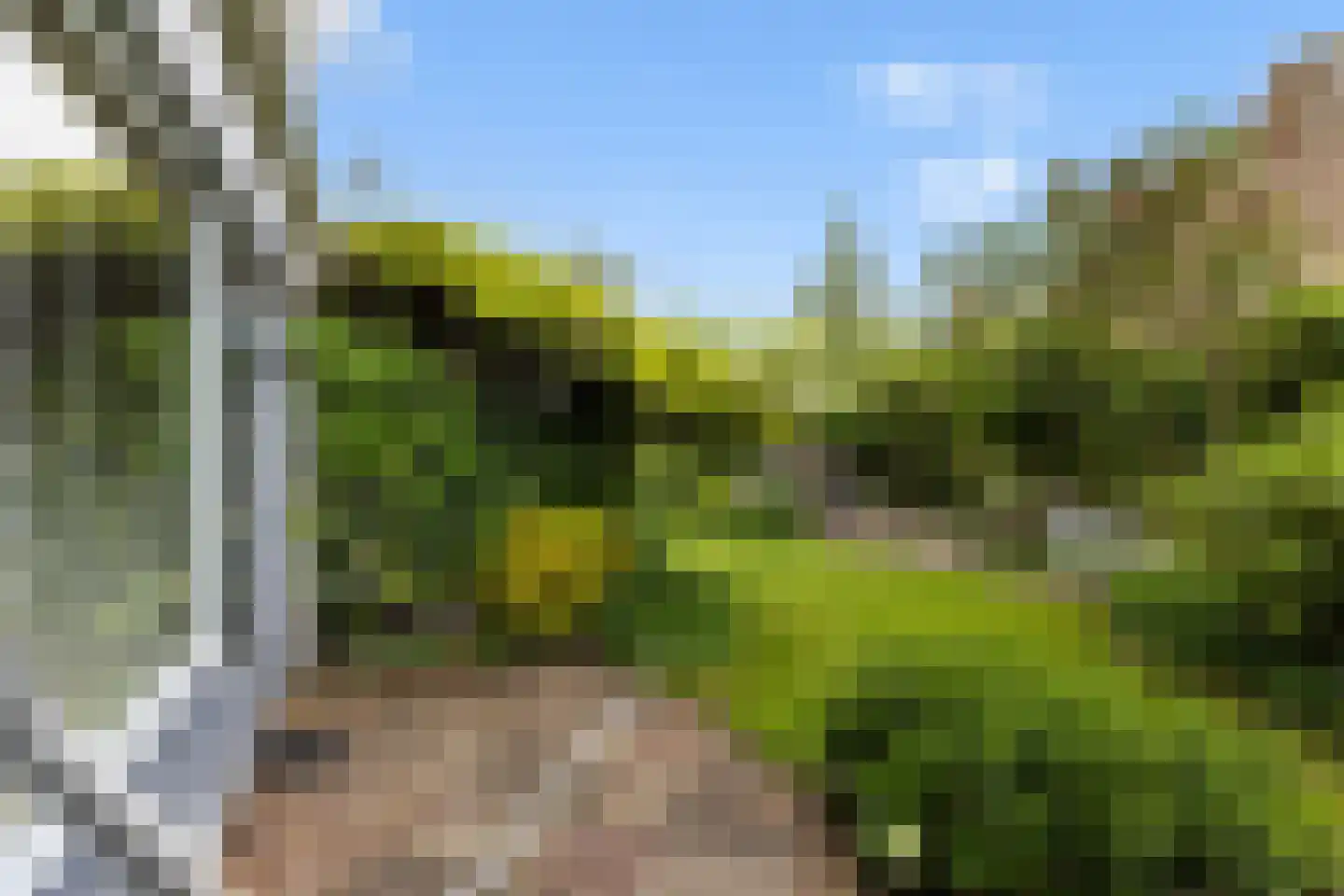 Grutter 2 Zwijndrecht thumbnail 28