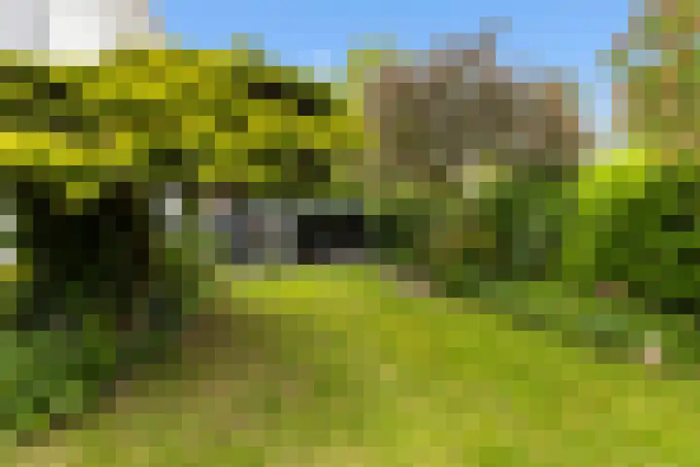 Grutter 2 Zwijndrecht thumbnail 4