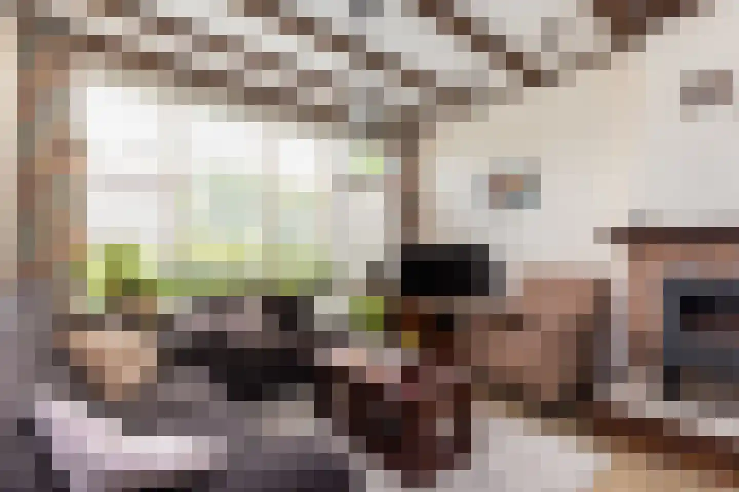 Grutter 2 Zwijndrecht thumbnail 6