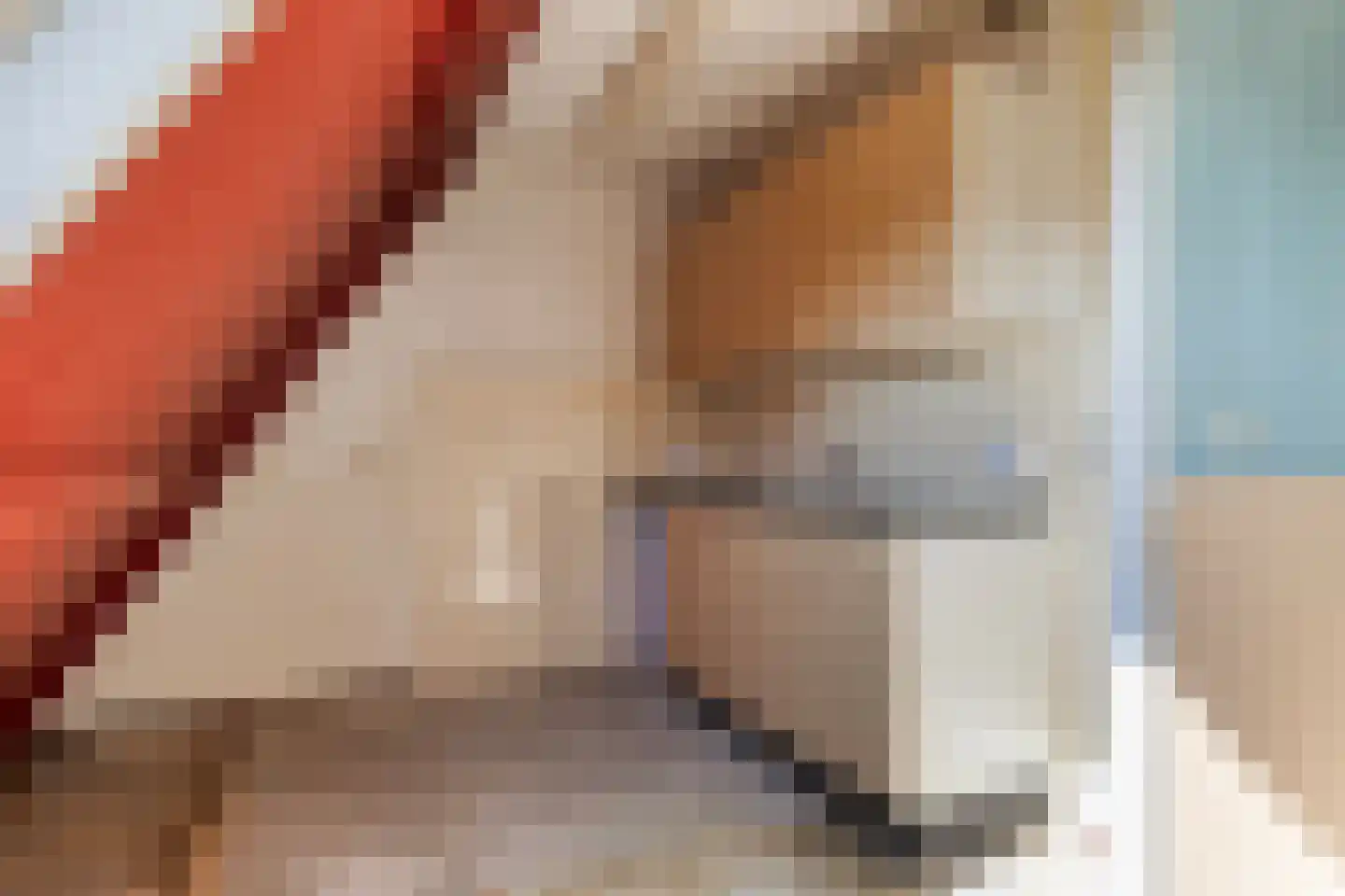 Grutterij 24 Alkmaar thumbnail 12