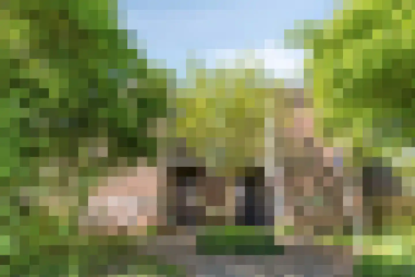Grutterij 24 Alkmaar thumbnail 4