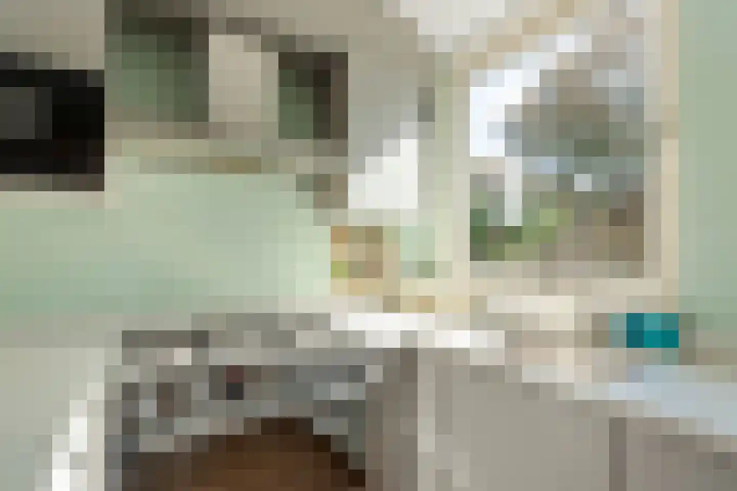 Grutterij 3 Alkmaar thumbnail 12