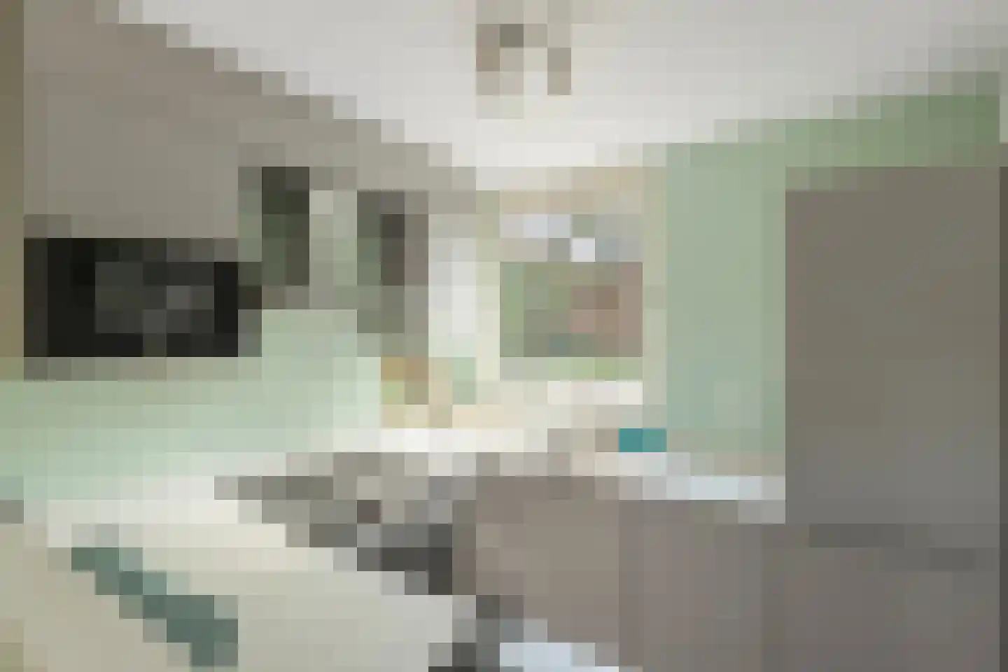 Grutterij 3 Alkmaar thumbnail 13