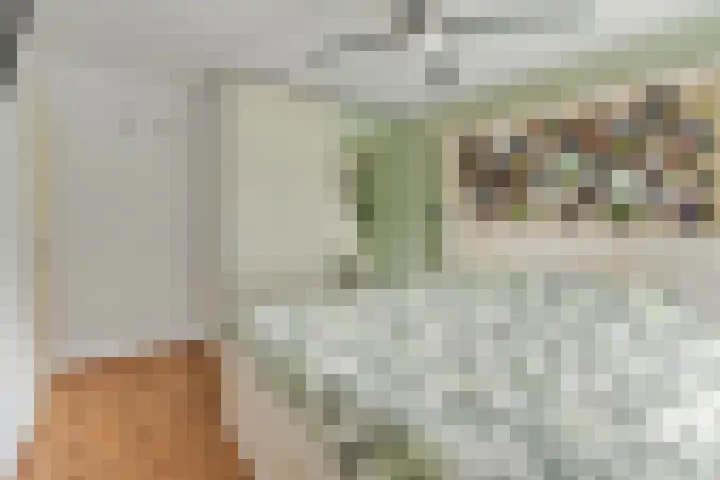 Grutterij 3 Alkmaar thumbnail 18