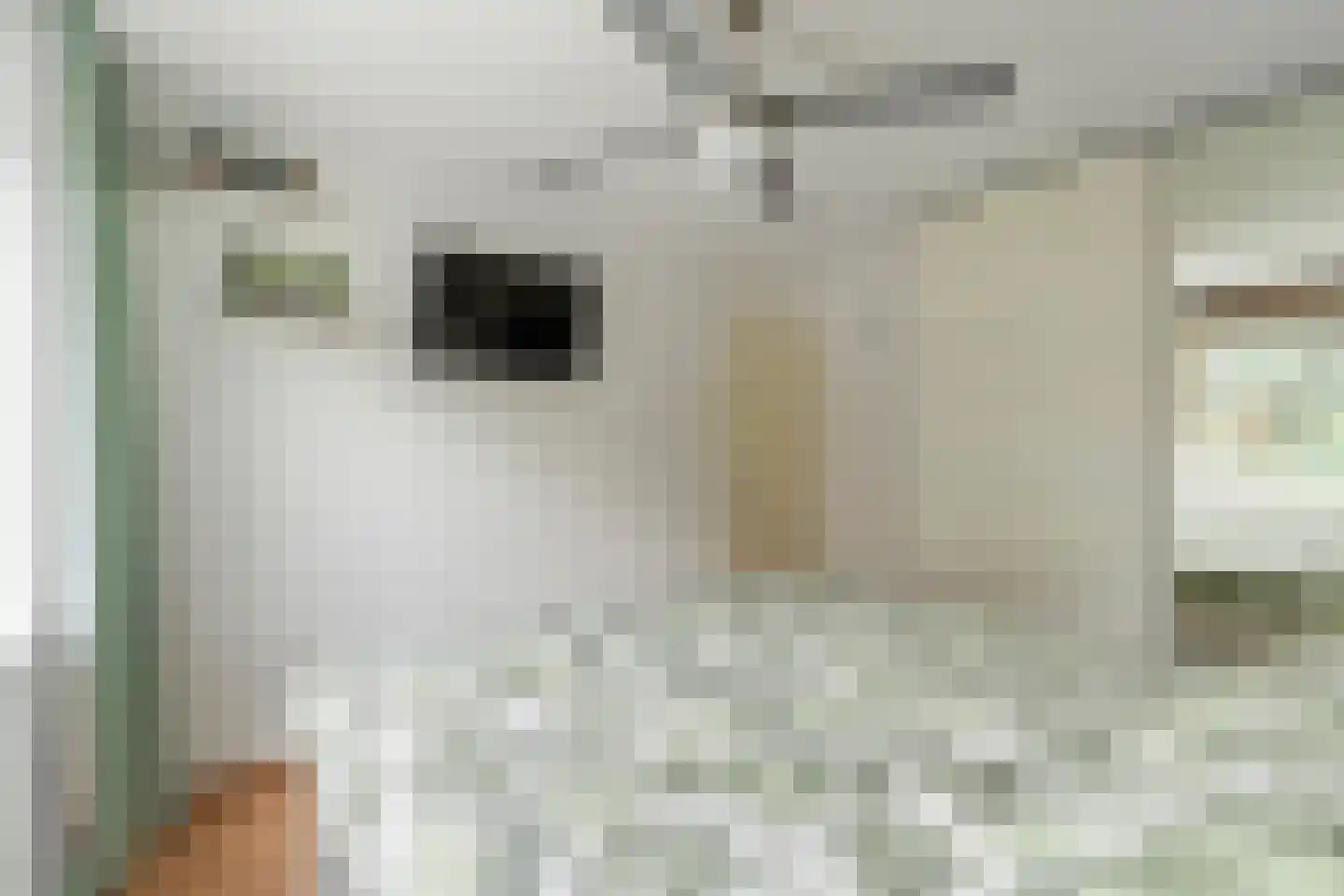 Grutterij 3 Alkmaar thumbnail 19