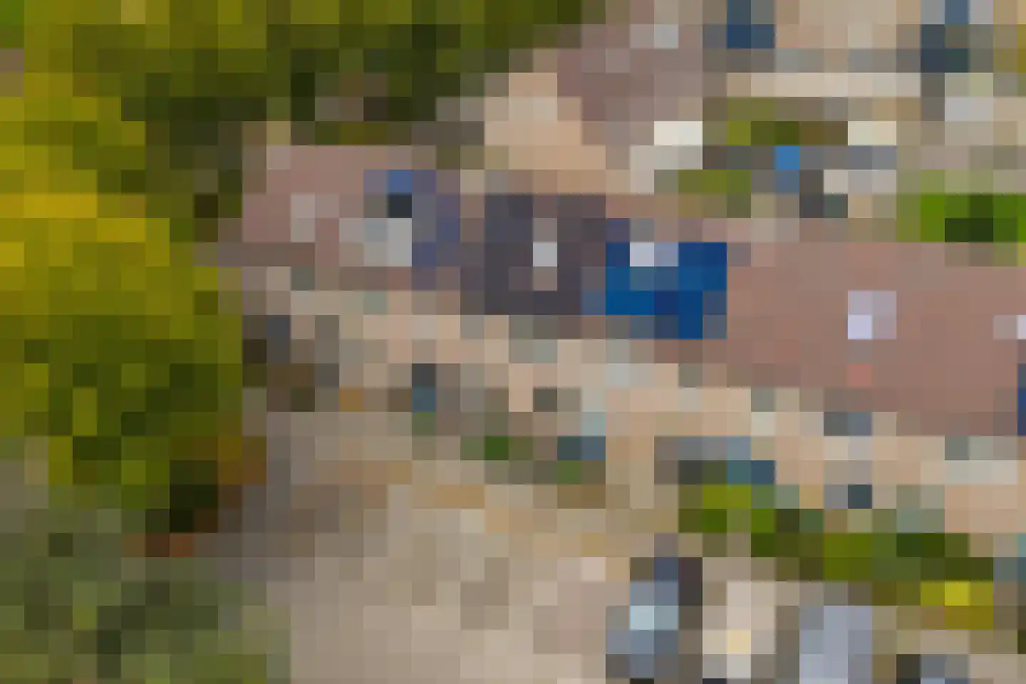 Grutterij 3 Alkmaar thumbnail 36