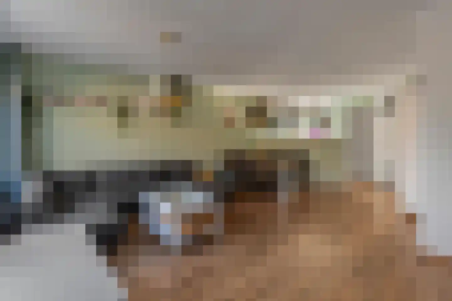 Grutterij 3 Alkmaar thumbnail 5