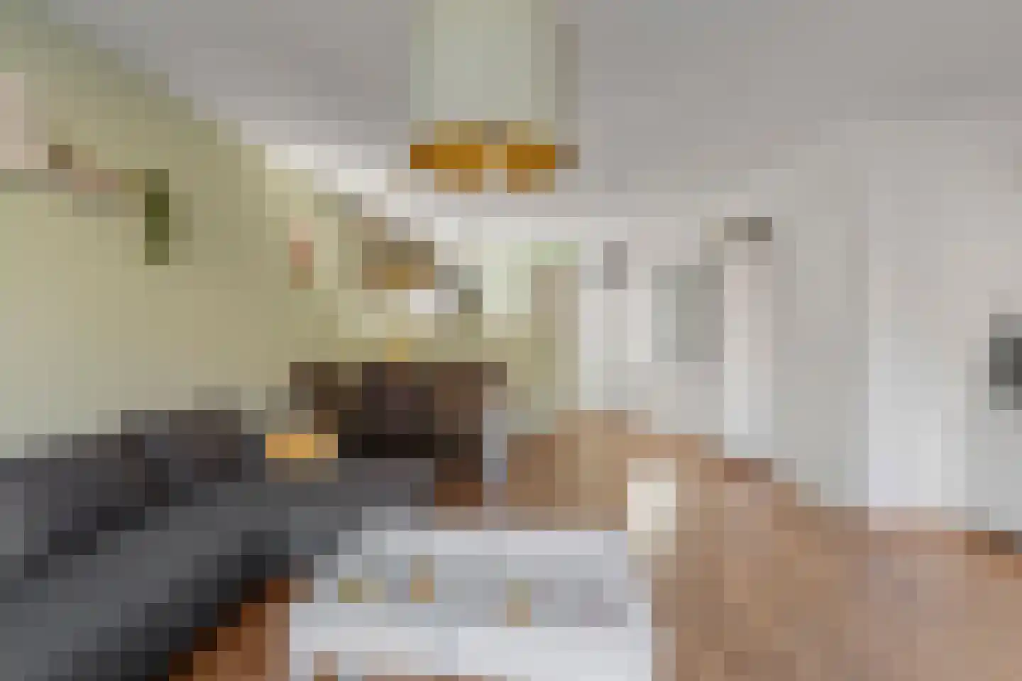 Grutterij 3 Alkmaar thumbnail 6