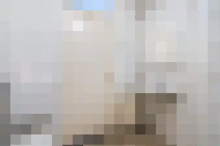 Grutterij 31 Alkmaar thumbnail 13